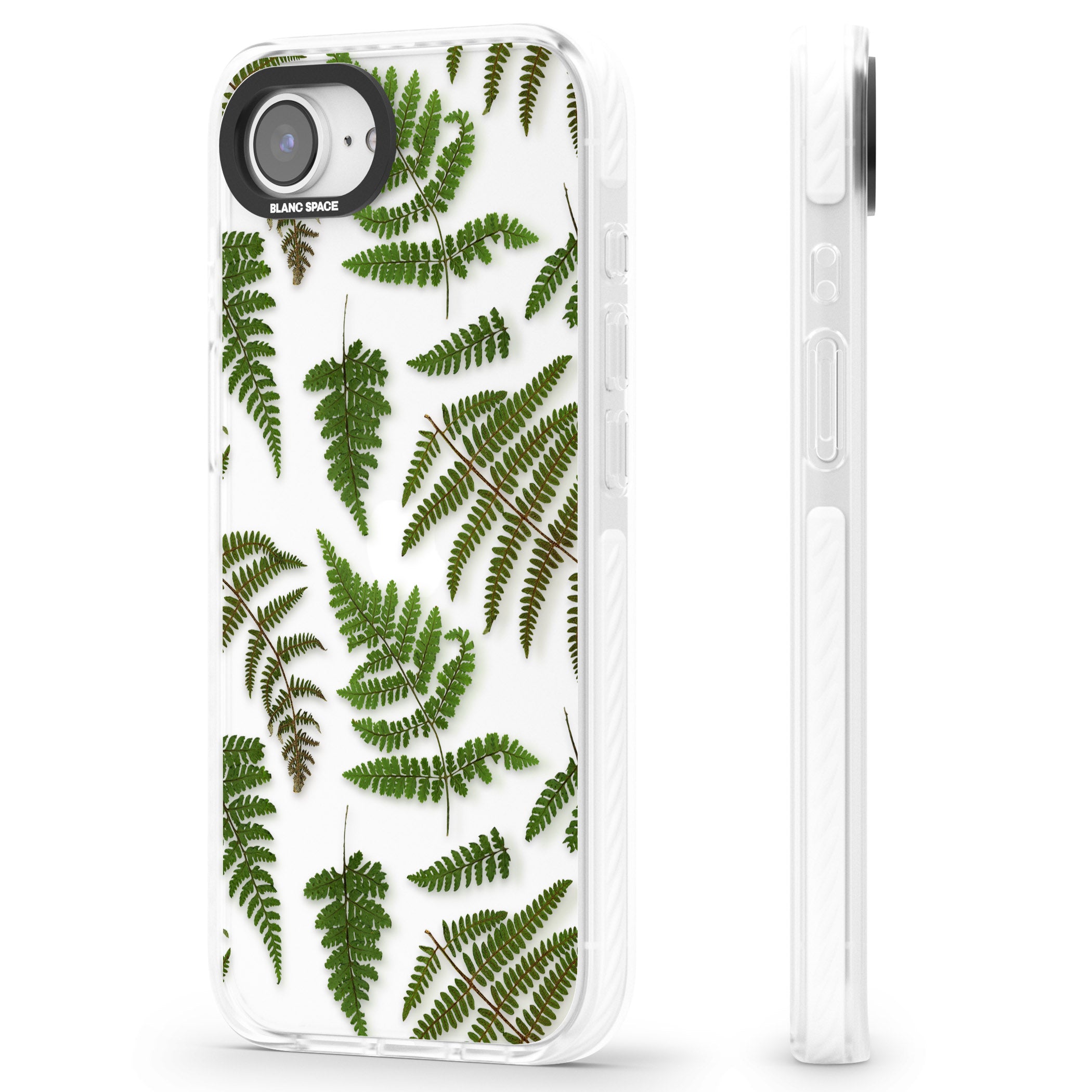 Leafy Ferns