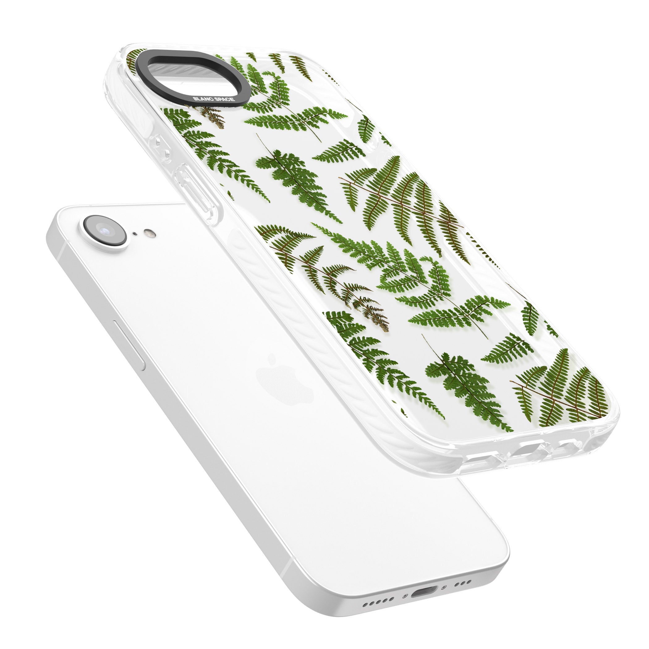 Leafy Ferns