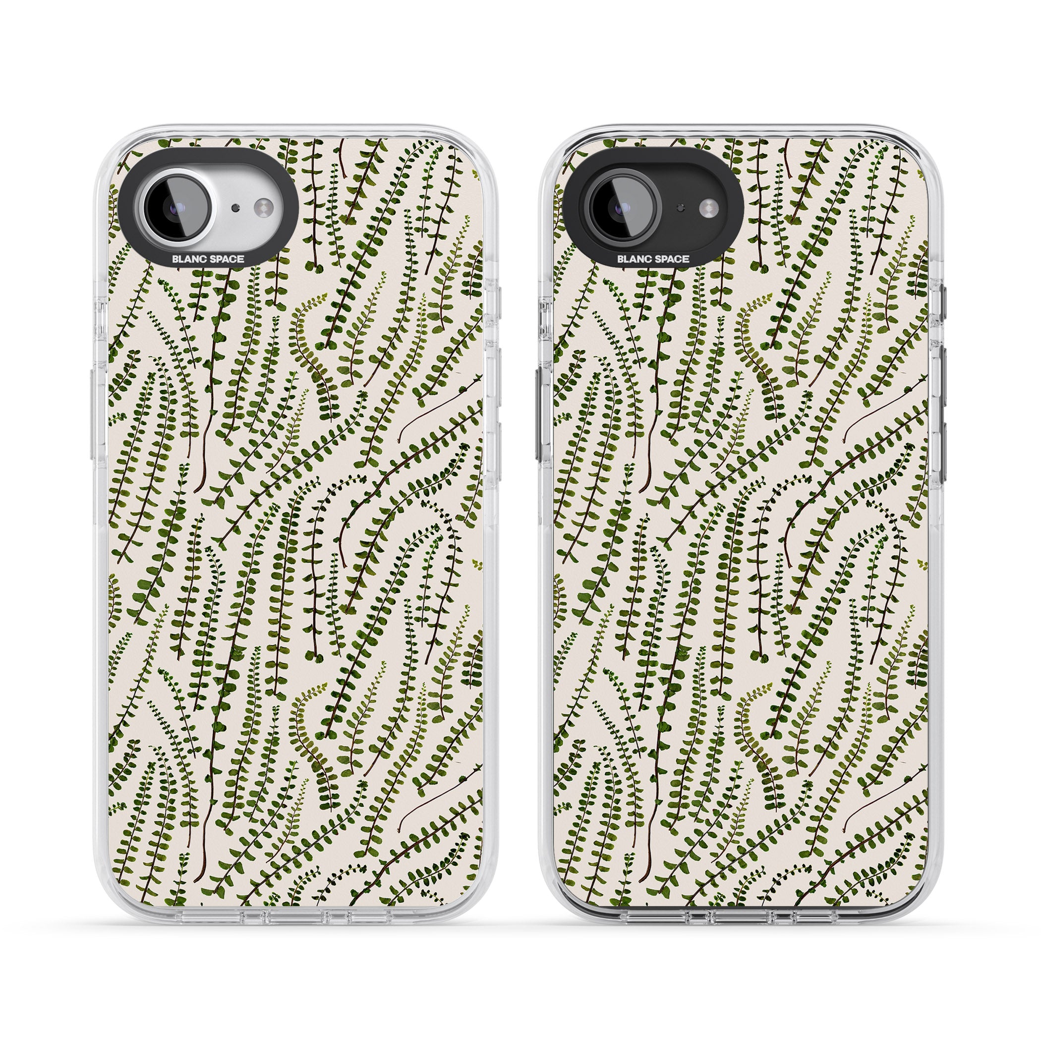 Fern Leaf Pattern