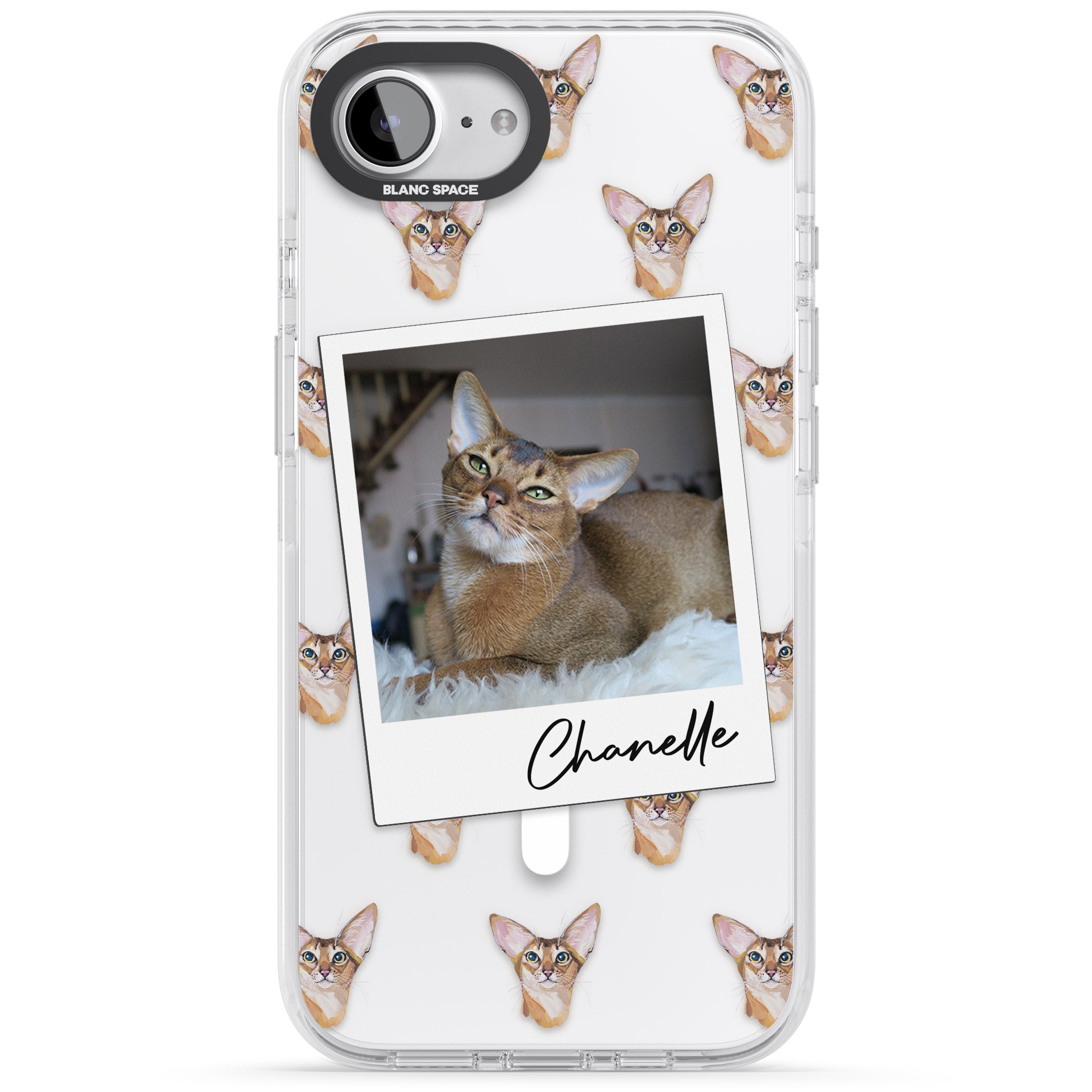 Personalised Abyssinian Cat Photo
