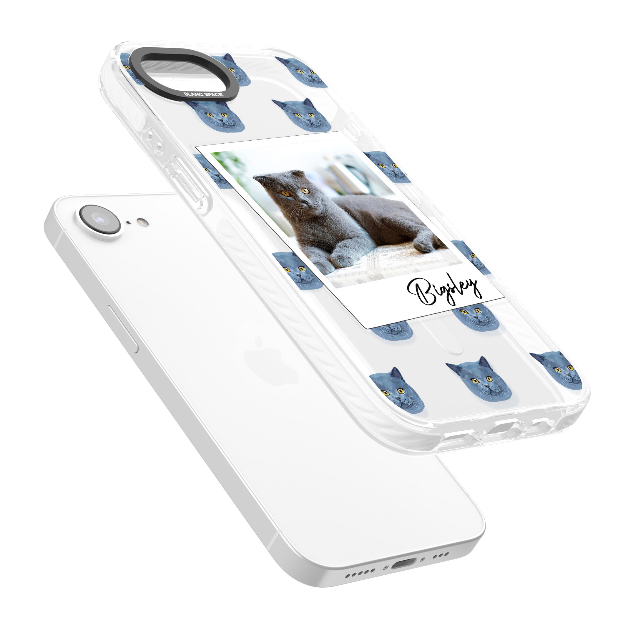 Personalised English Blue Cat Photo