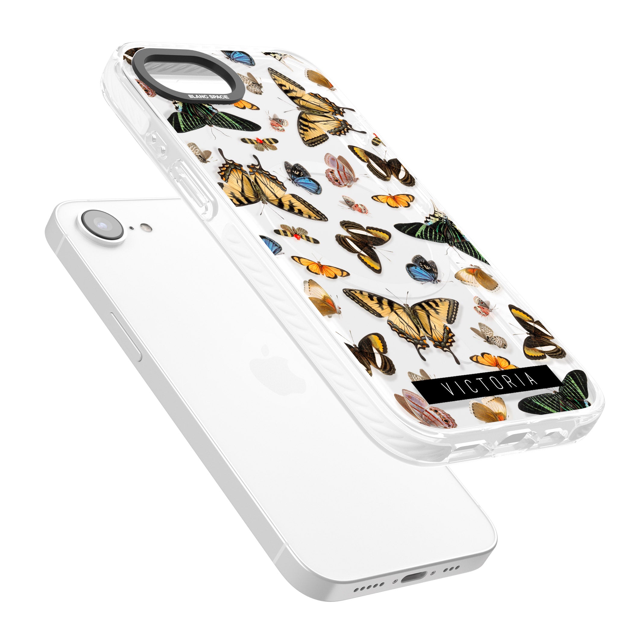 Personalised Butterfly Archive