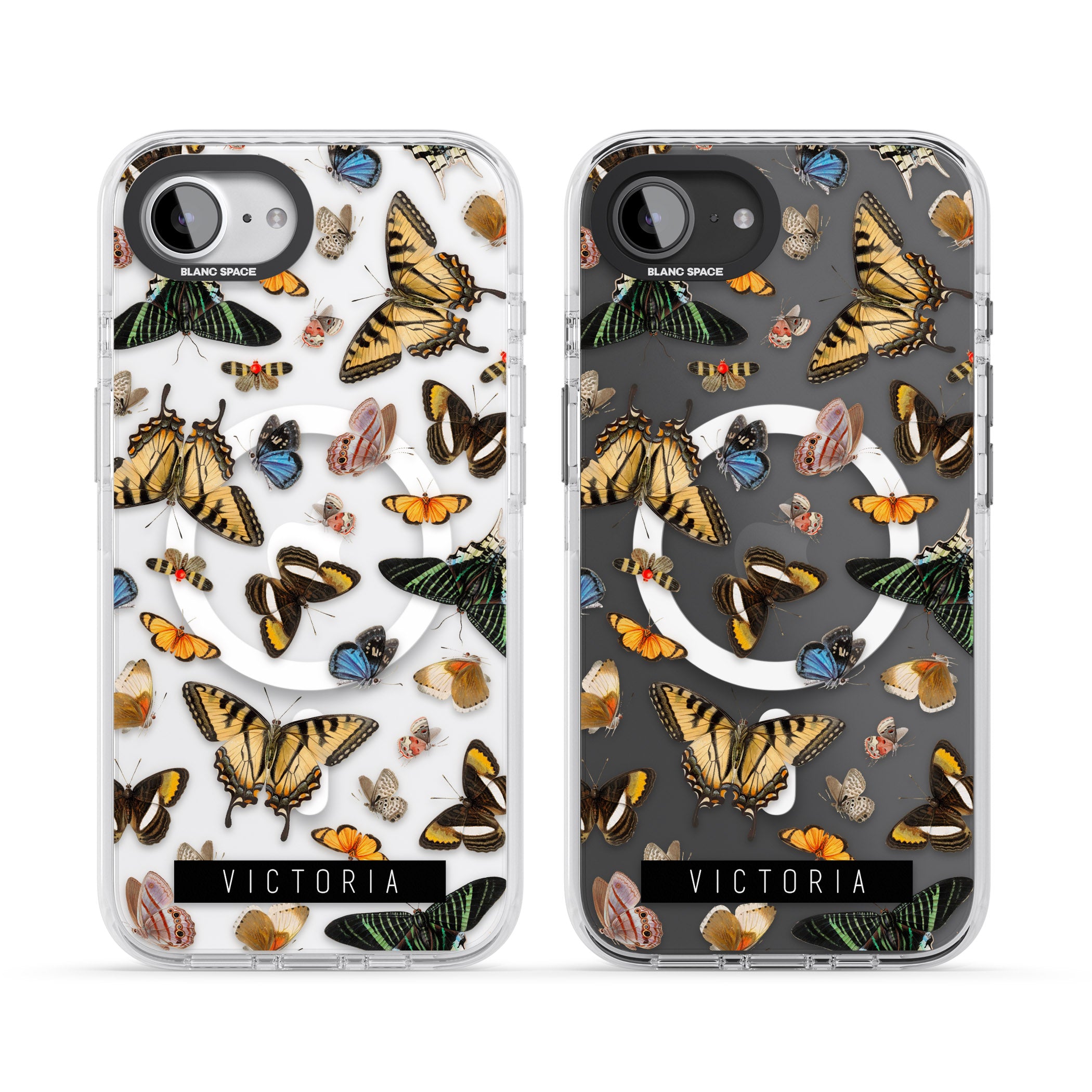Personalised Butterfly Archive