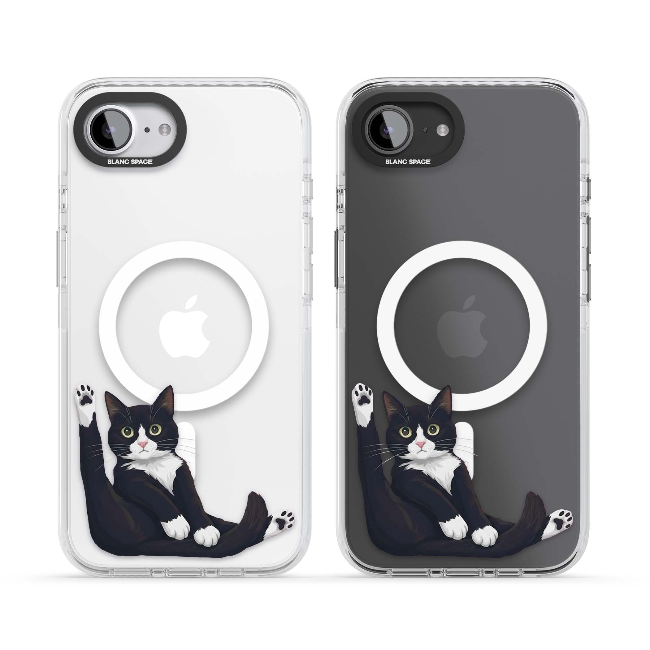 Mid-Groom Cat animals iPhone case | Impact Magsafe case for iPhone 16e, iPhone 17e
