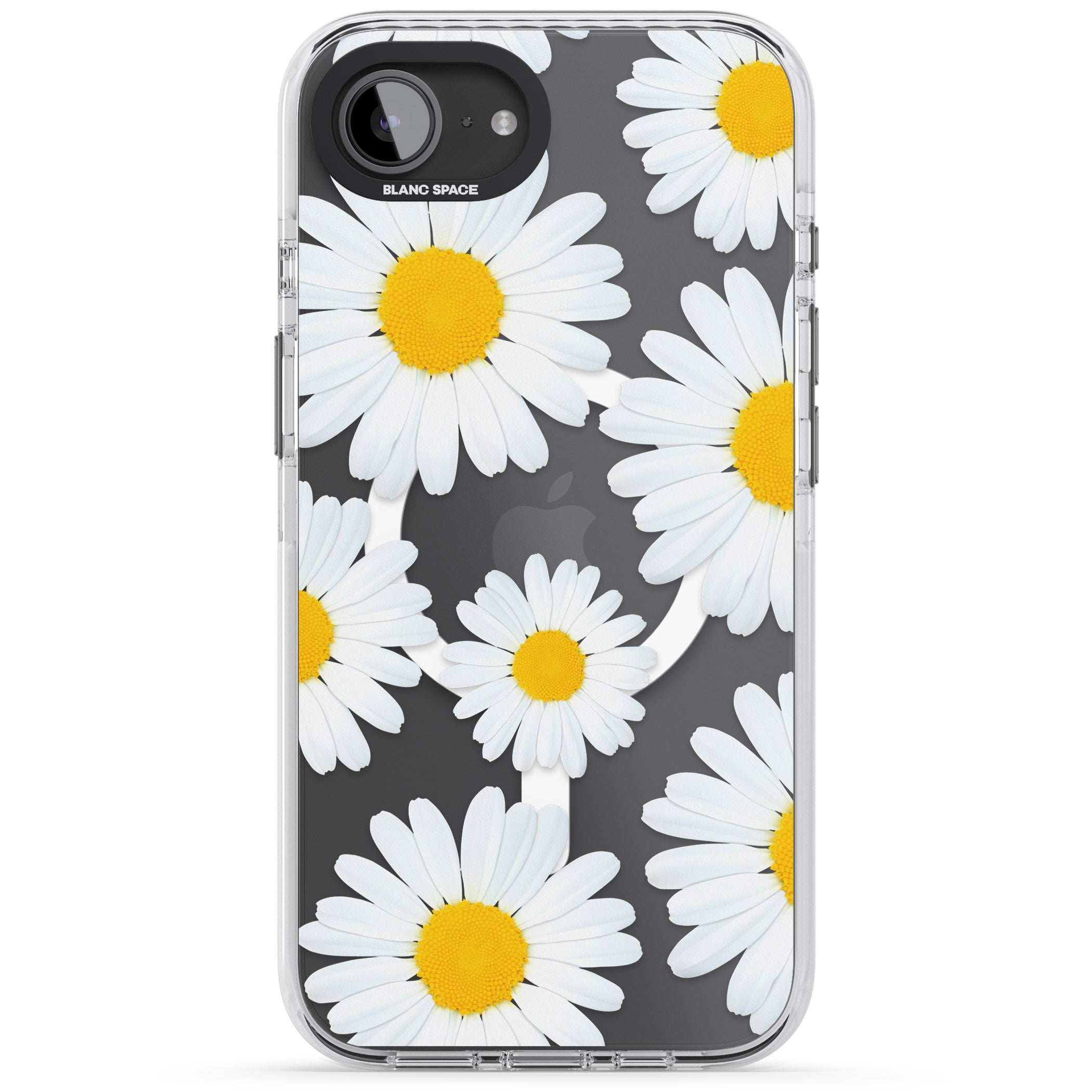 Summer Daisy