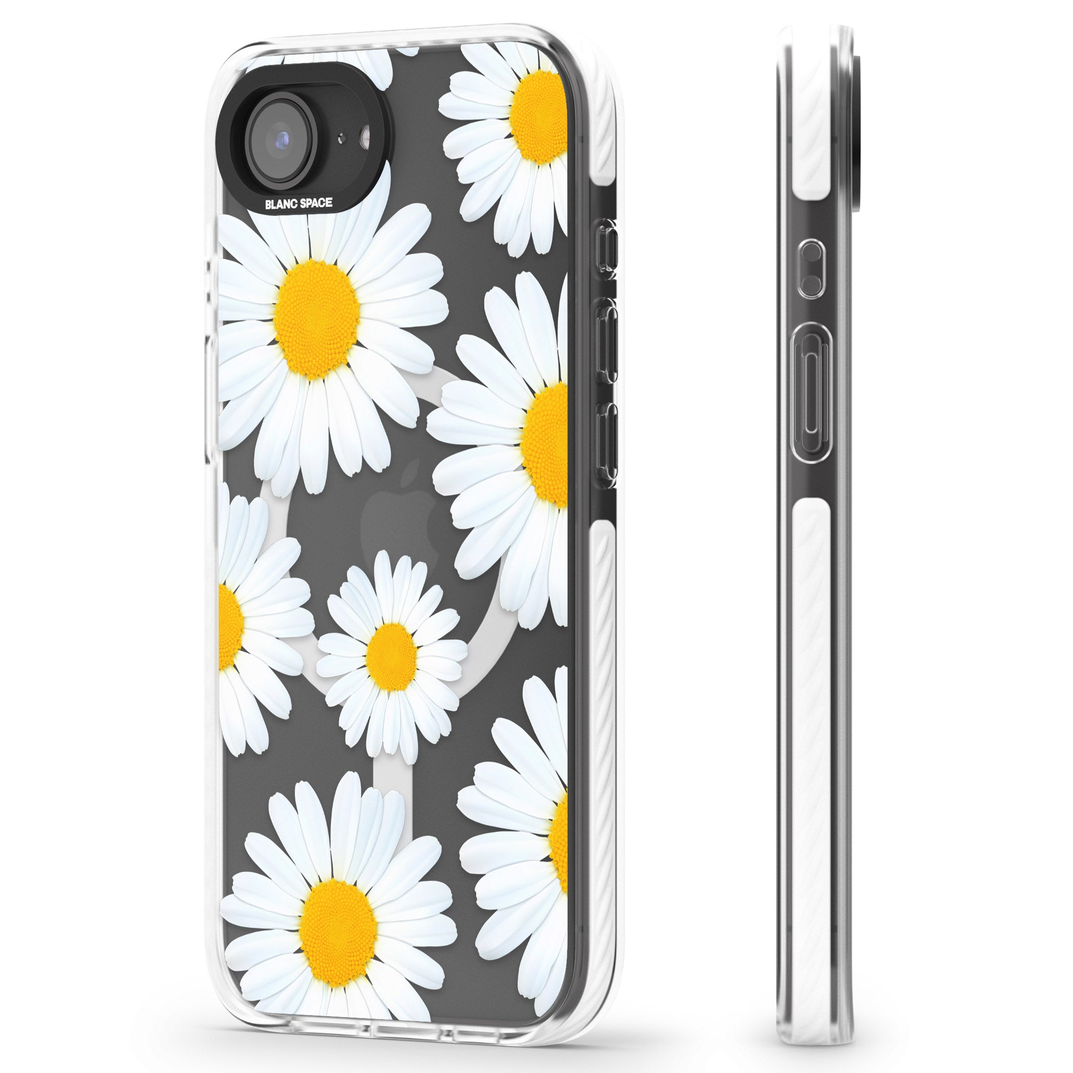 Summer Daisy