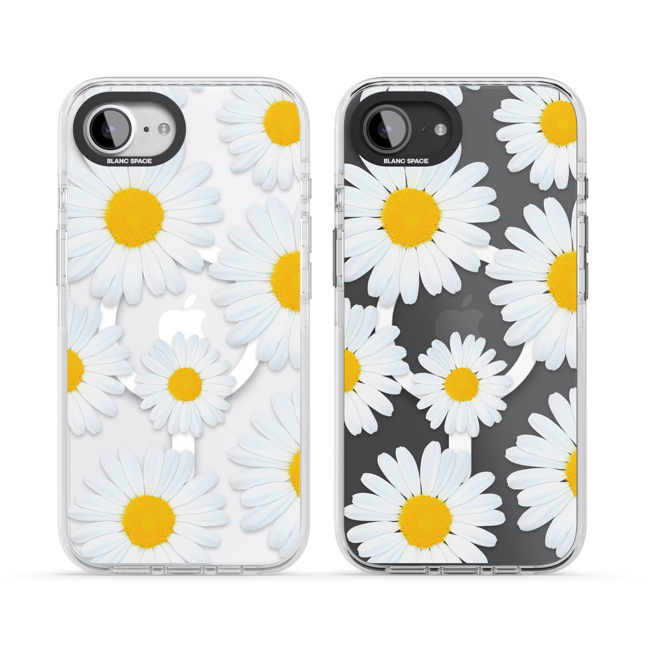 Summer Daisy