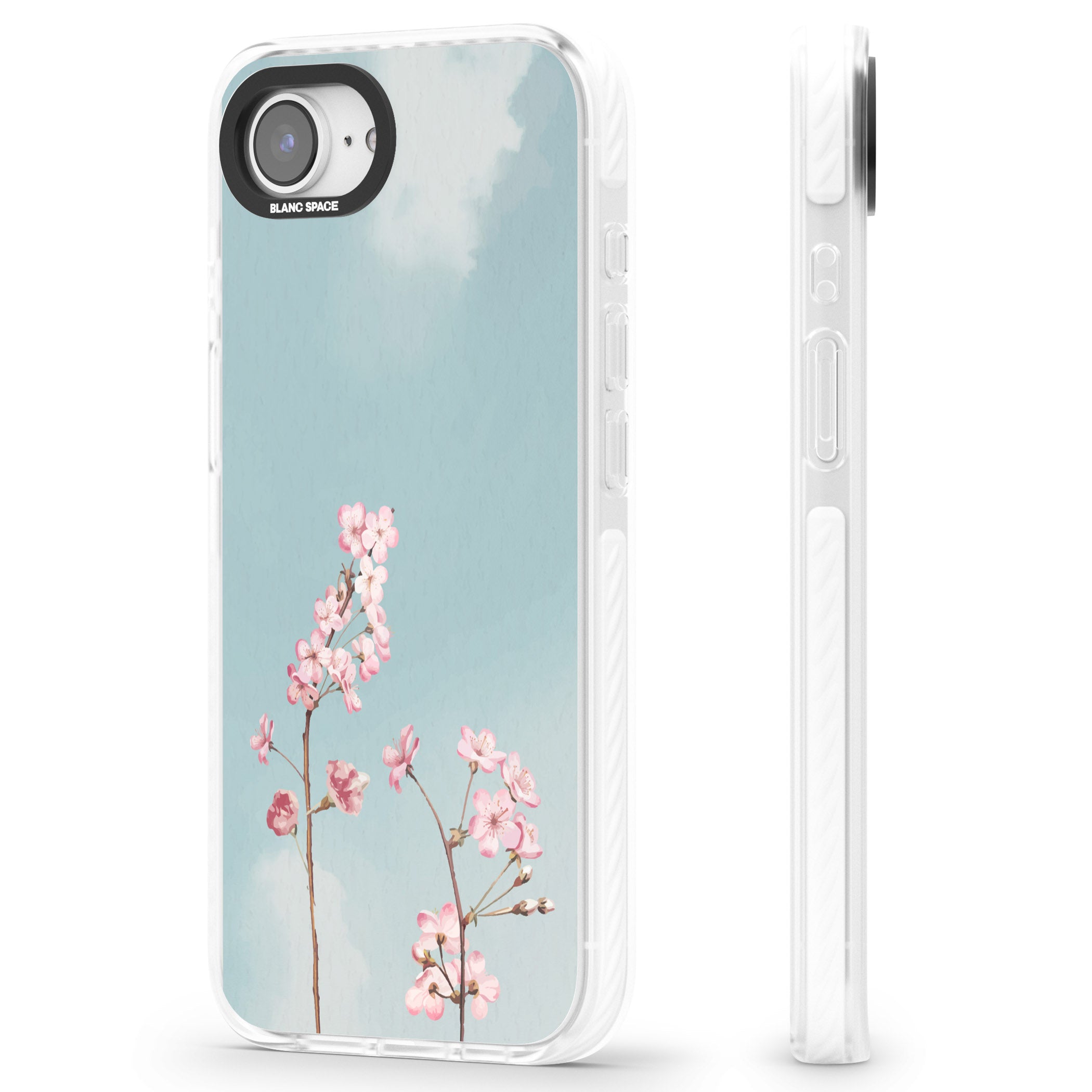 Blossom Flower Sky
