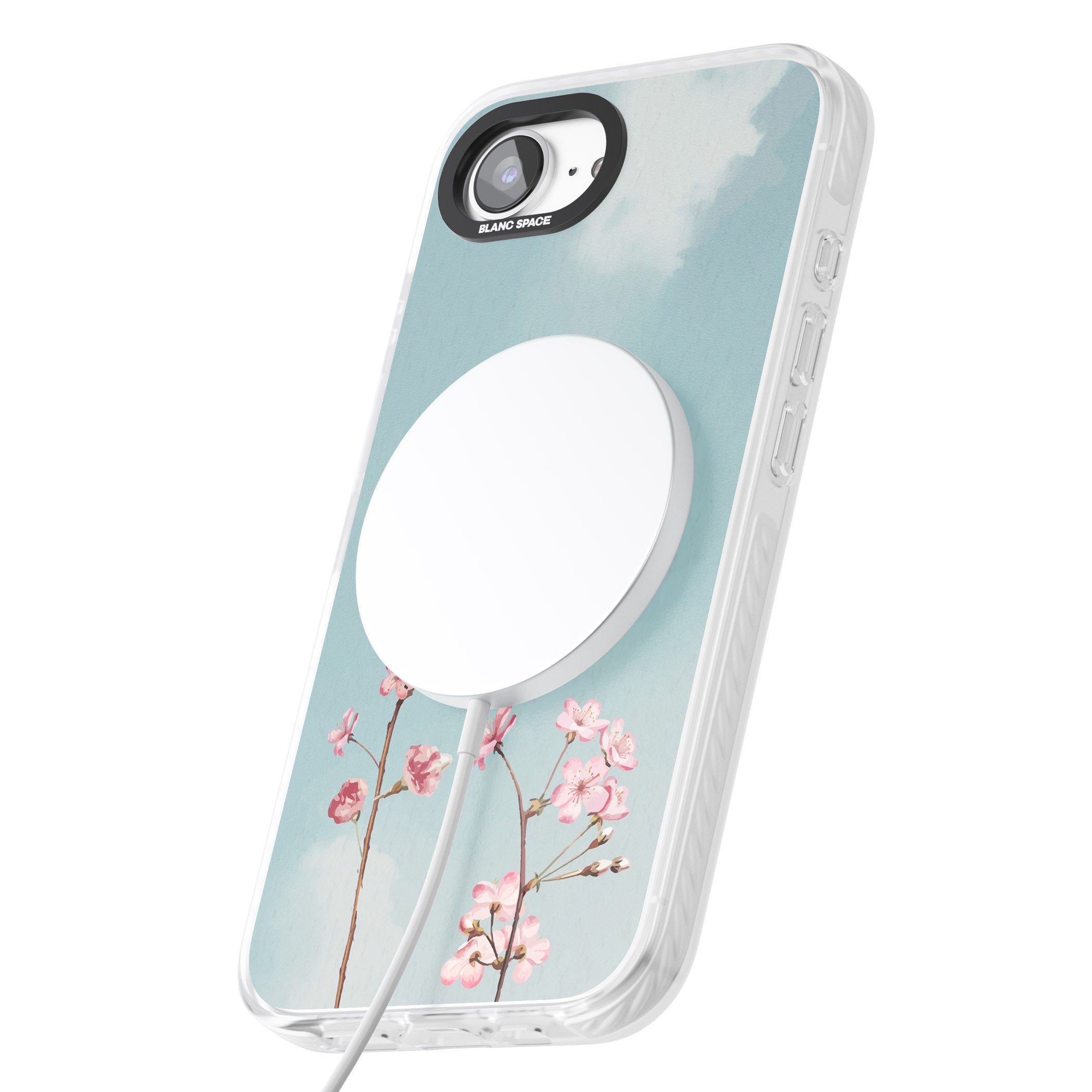 Blossom Flower Sky