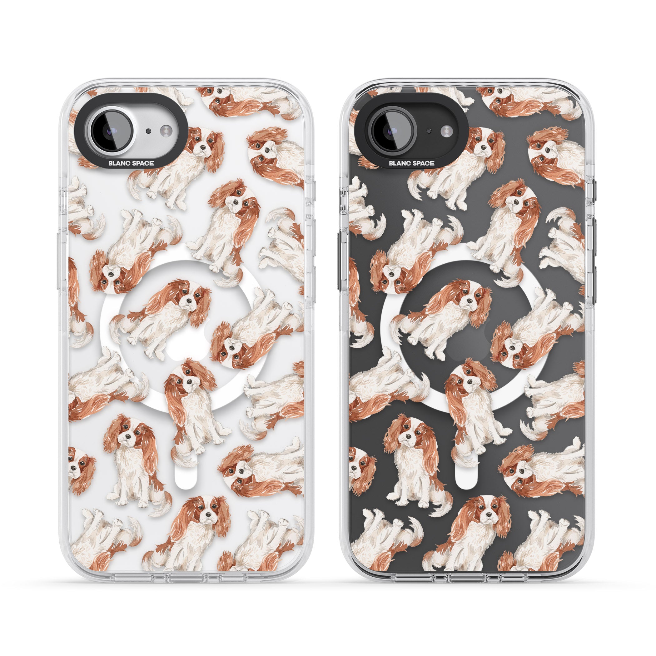 Cavalier King Charles Spaniel