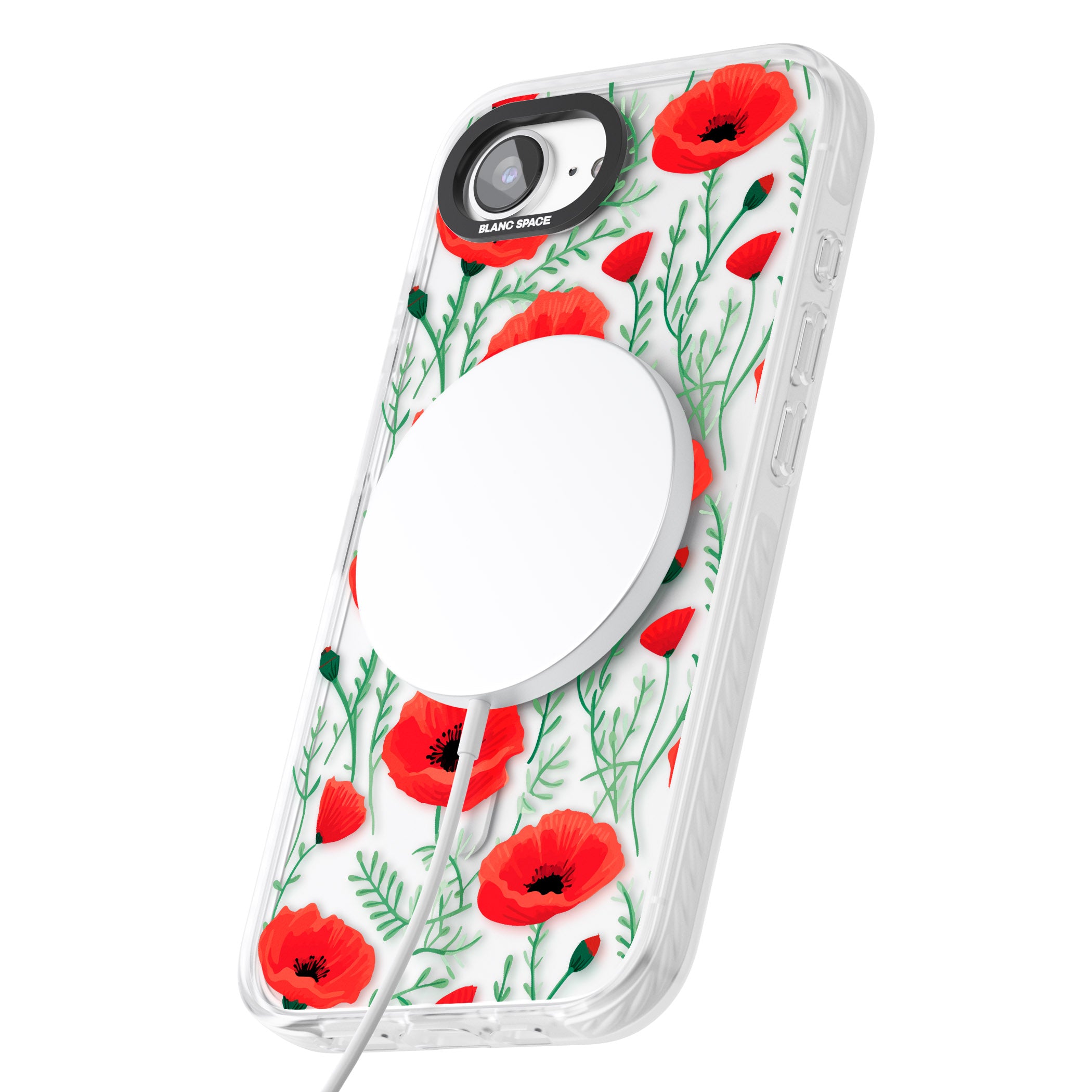 Poppy Garden