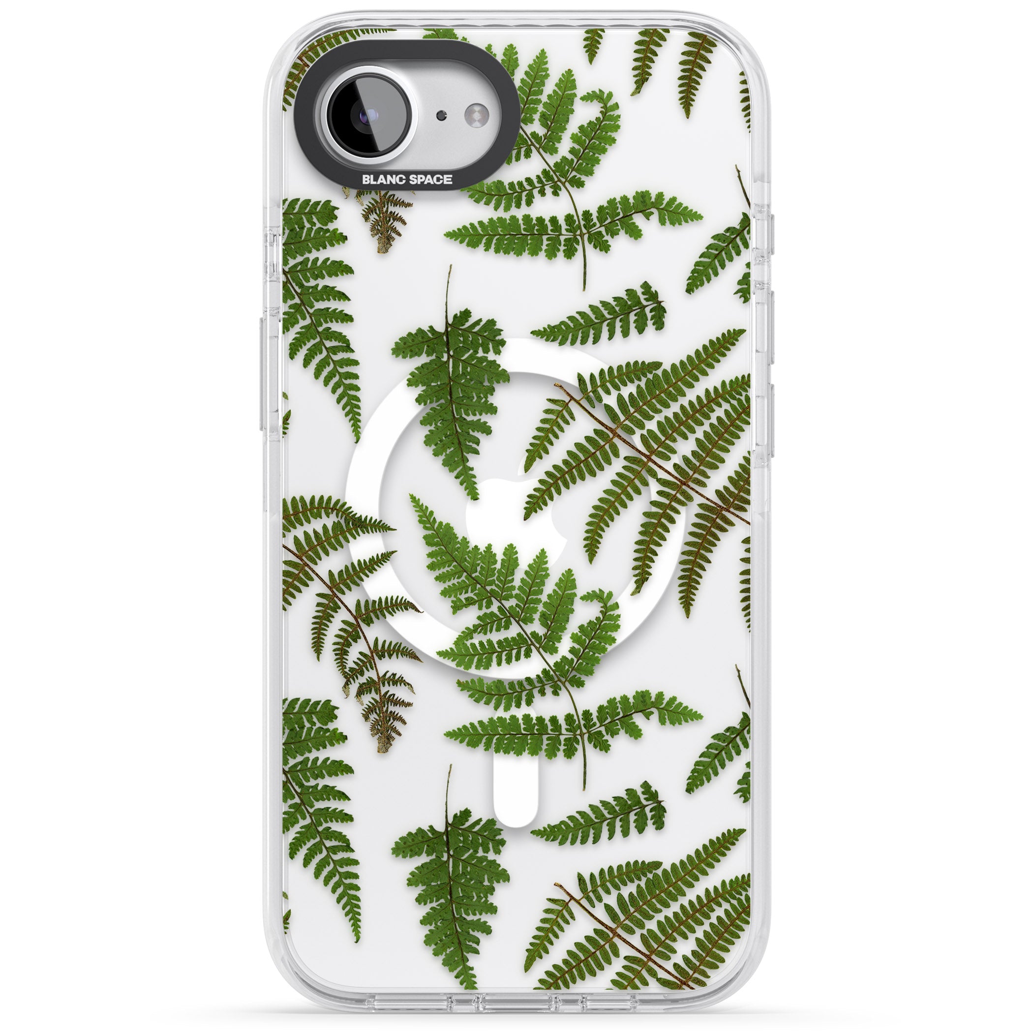 Leafy Ferns