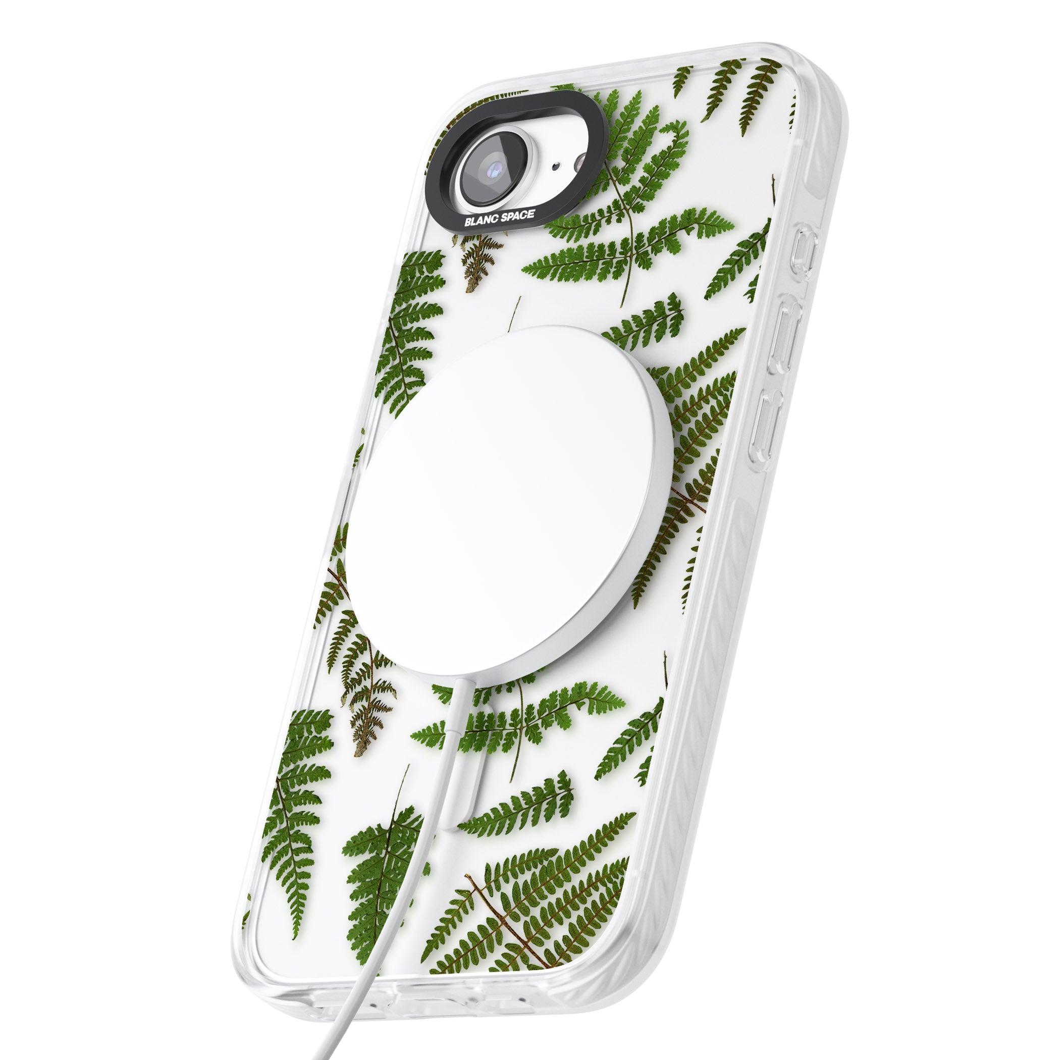 Leafy Ferns