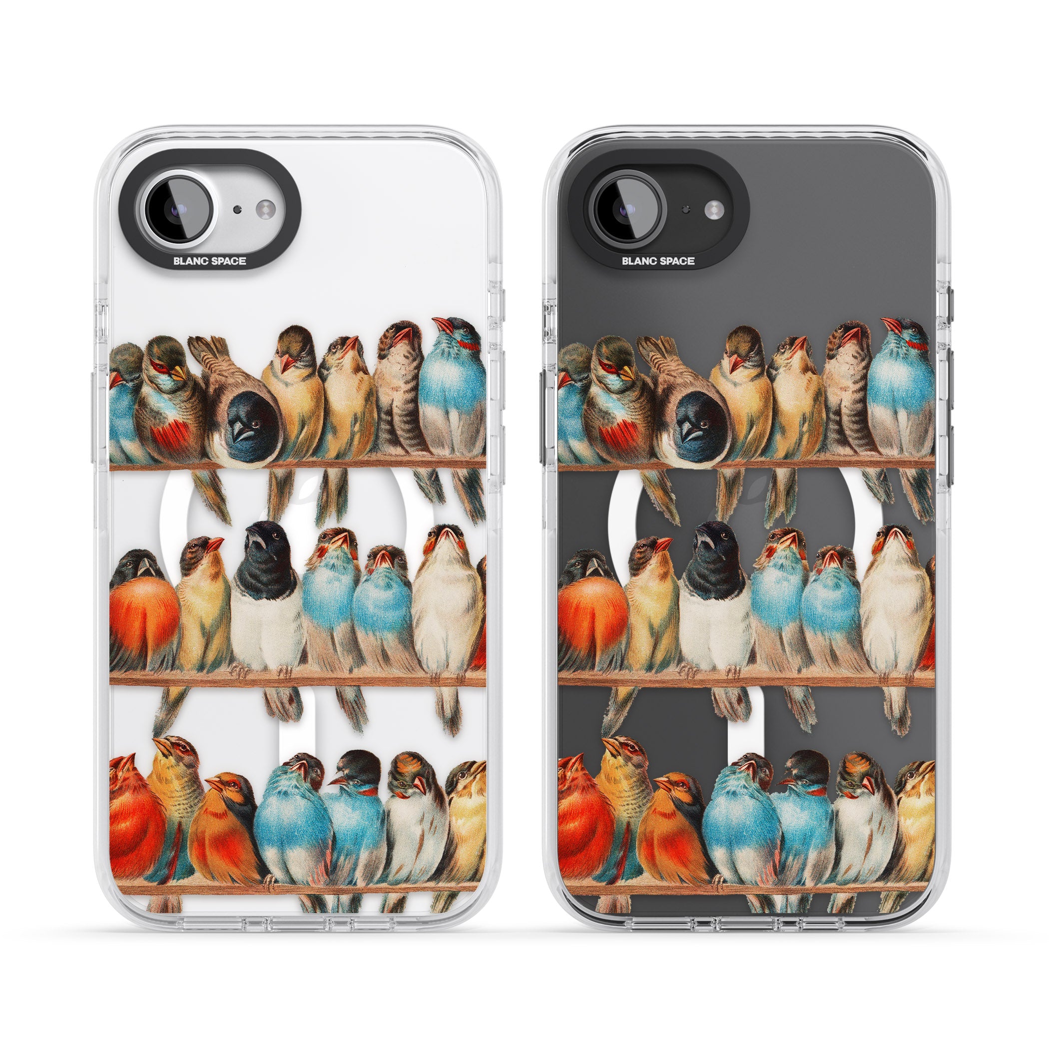 A Perch Of Birds