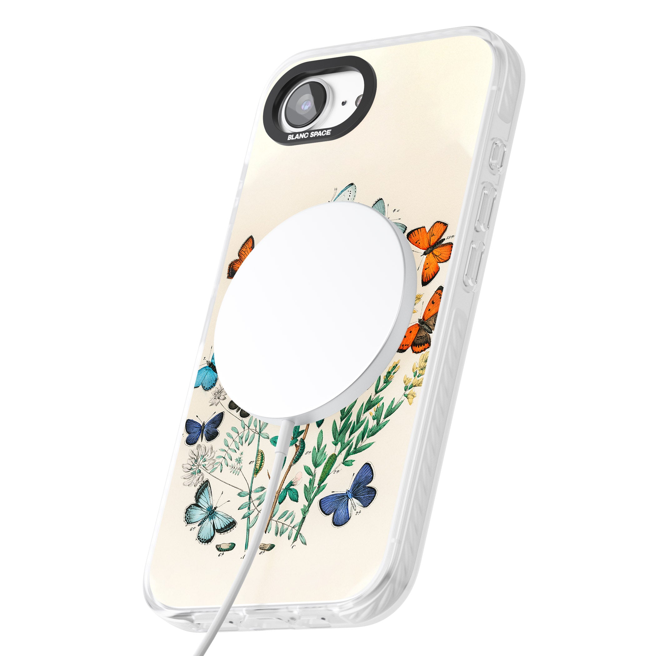 European Butterflies