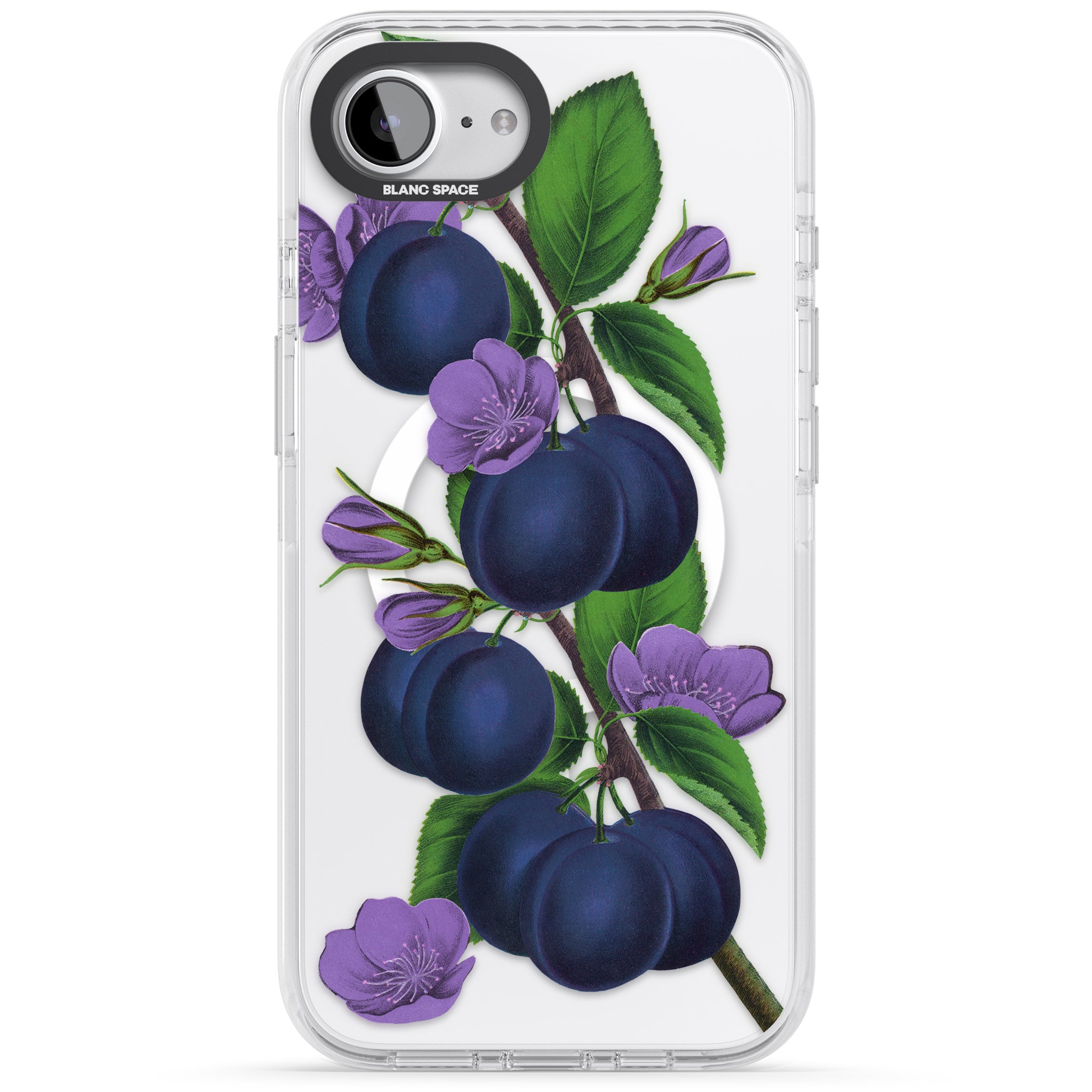 Vintage Painted Plums