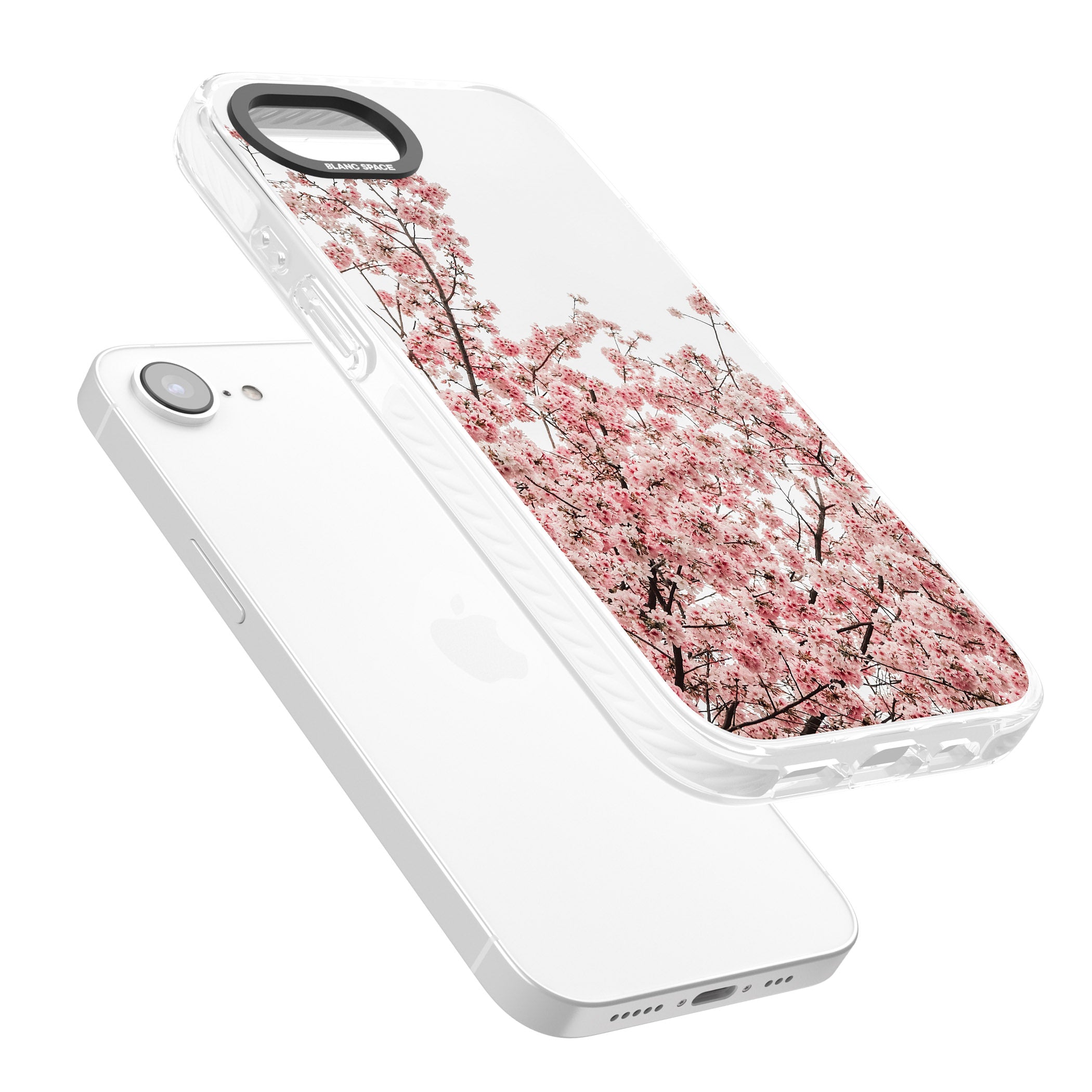 Cherry Blossom Bloom