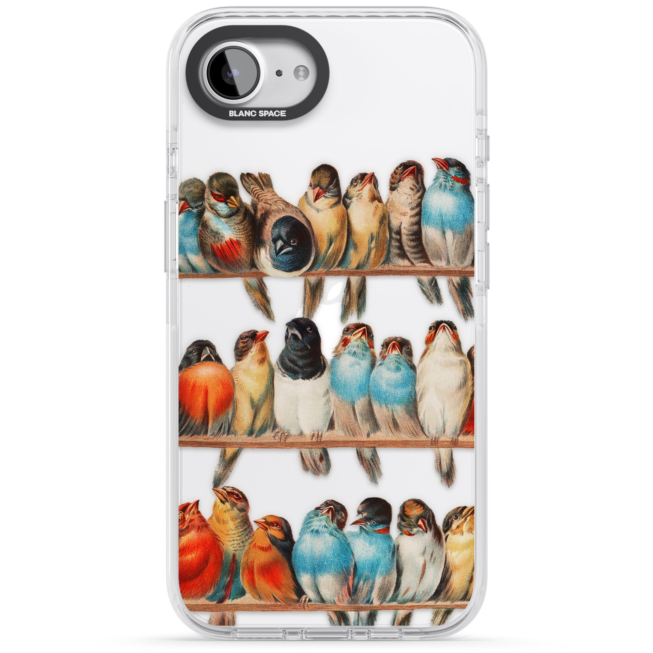 A Perch Of Birds