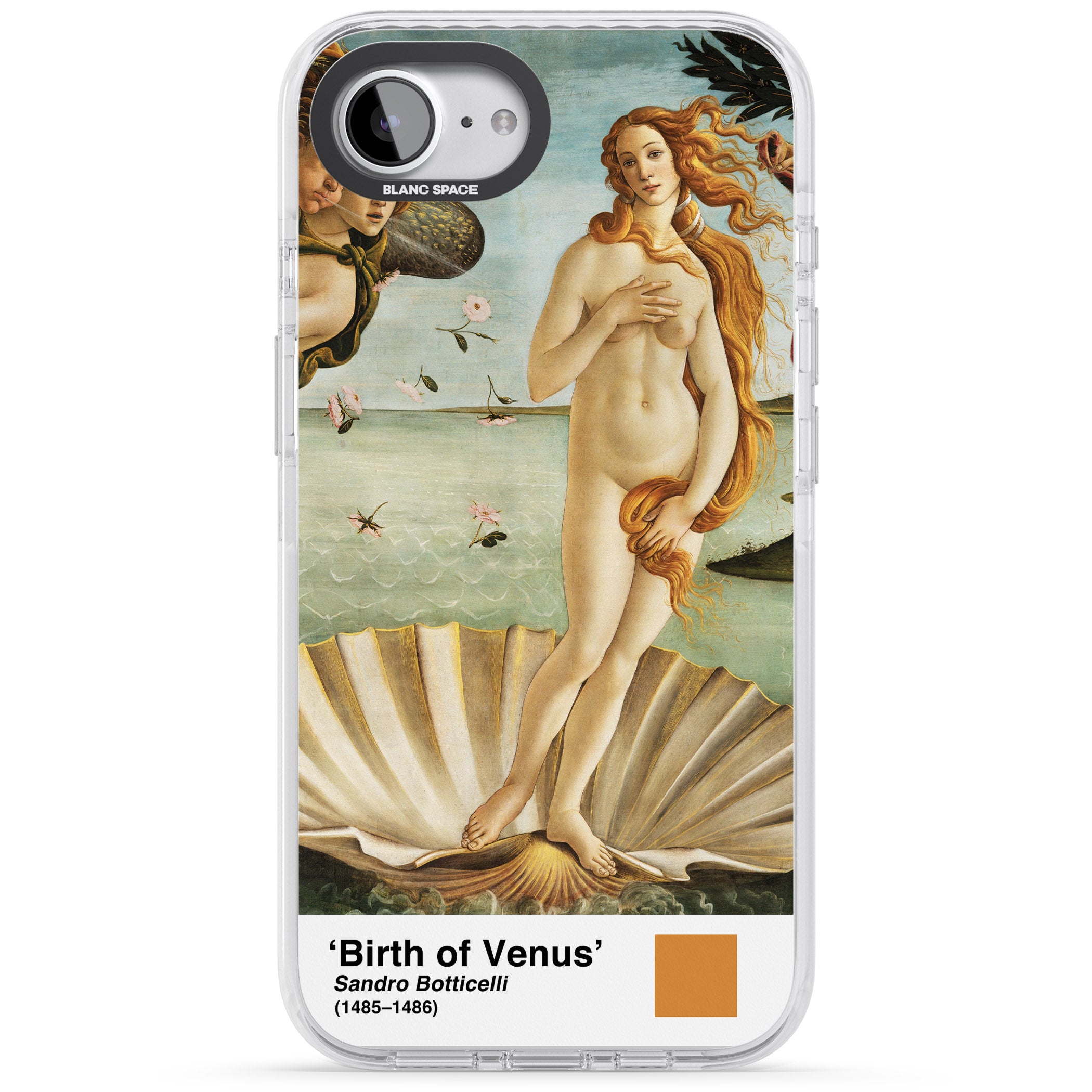 The Birth Of Venus