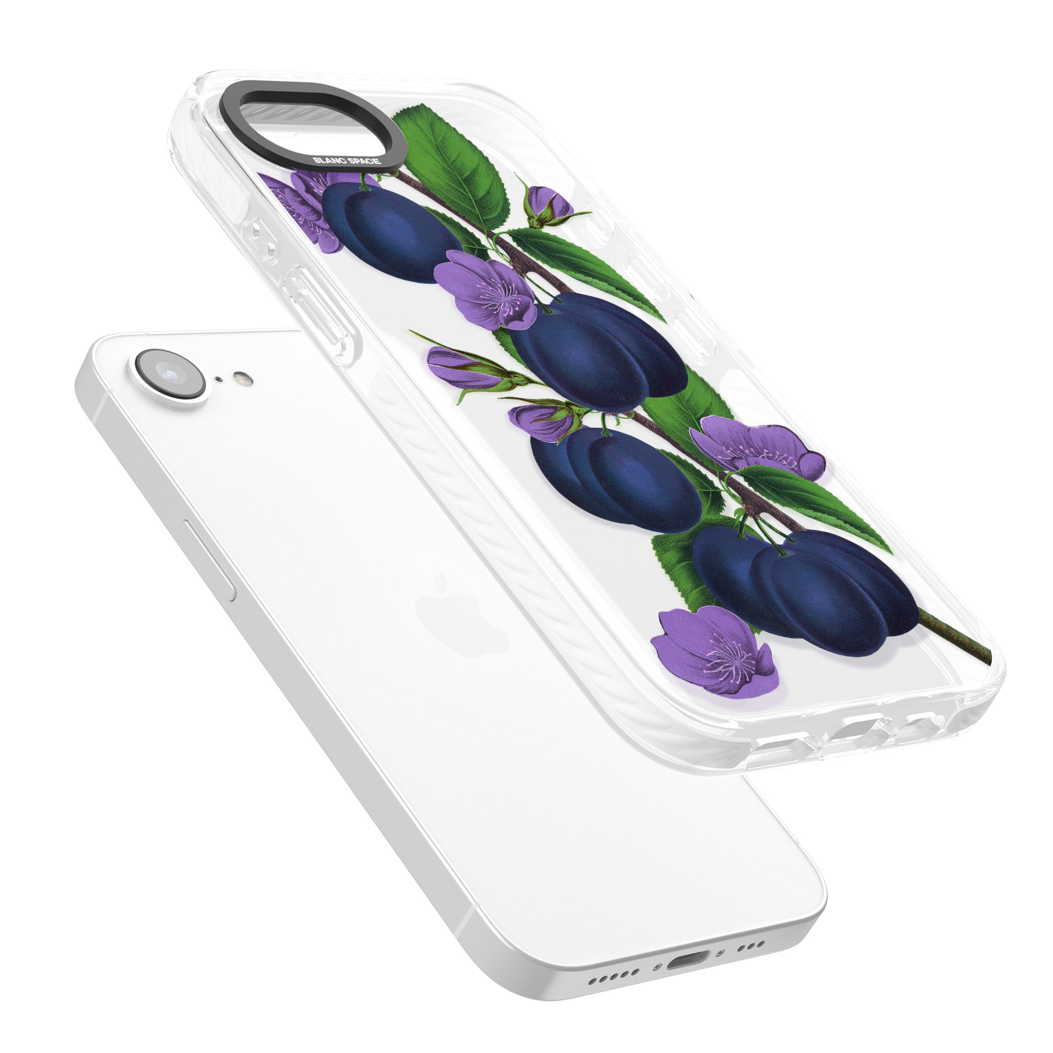 Vintage Painted Plums