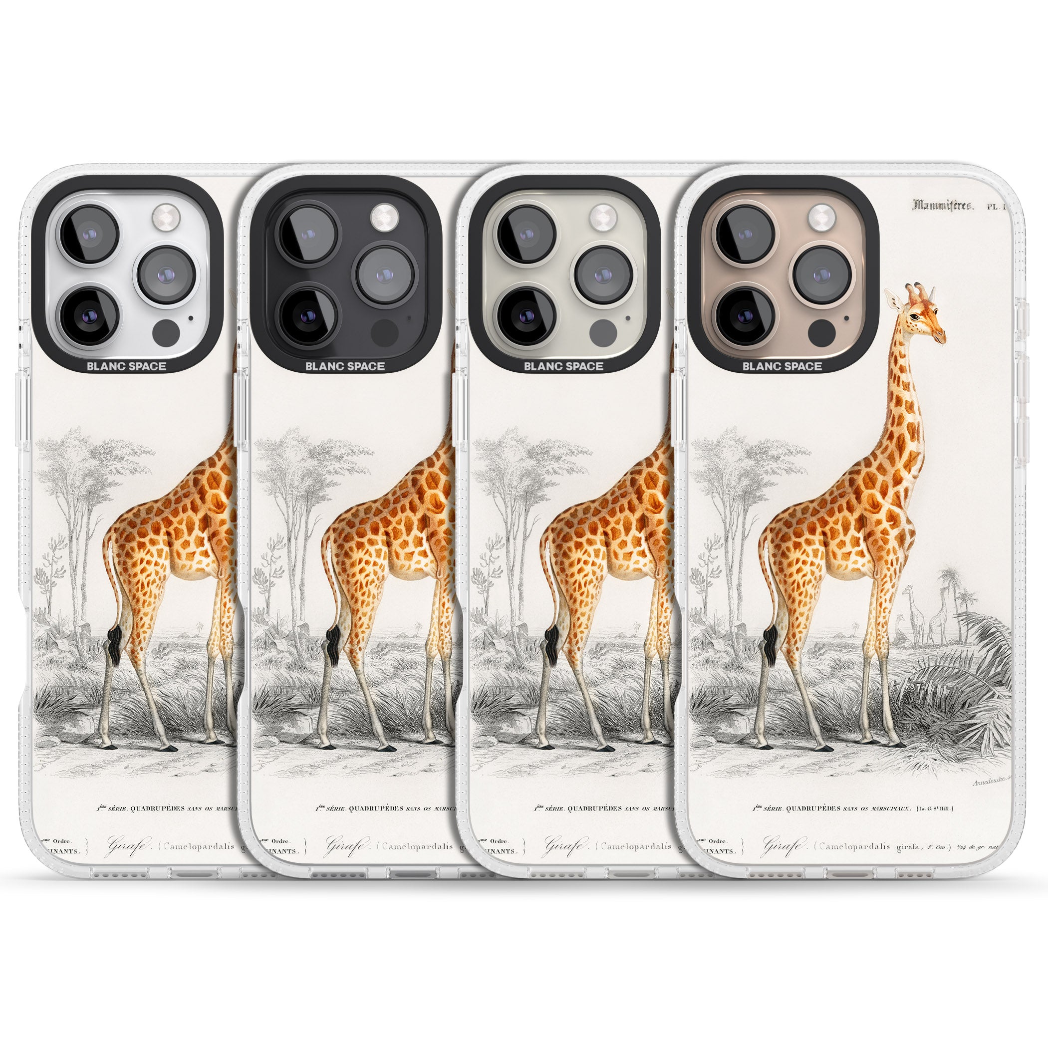 Vintage Giraffe Art iPhone 16 Pro Max / 16 Pro Clear Case Impact Air - Blanc Space
