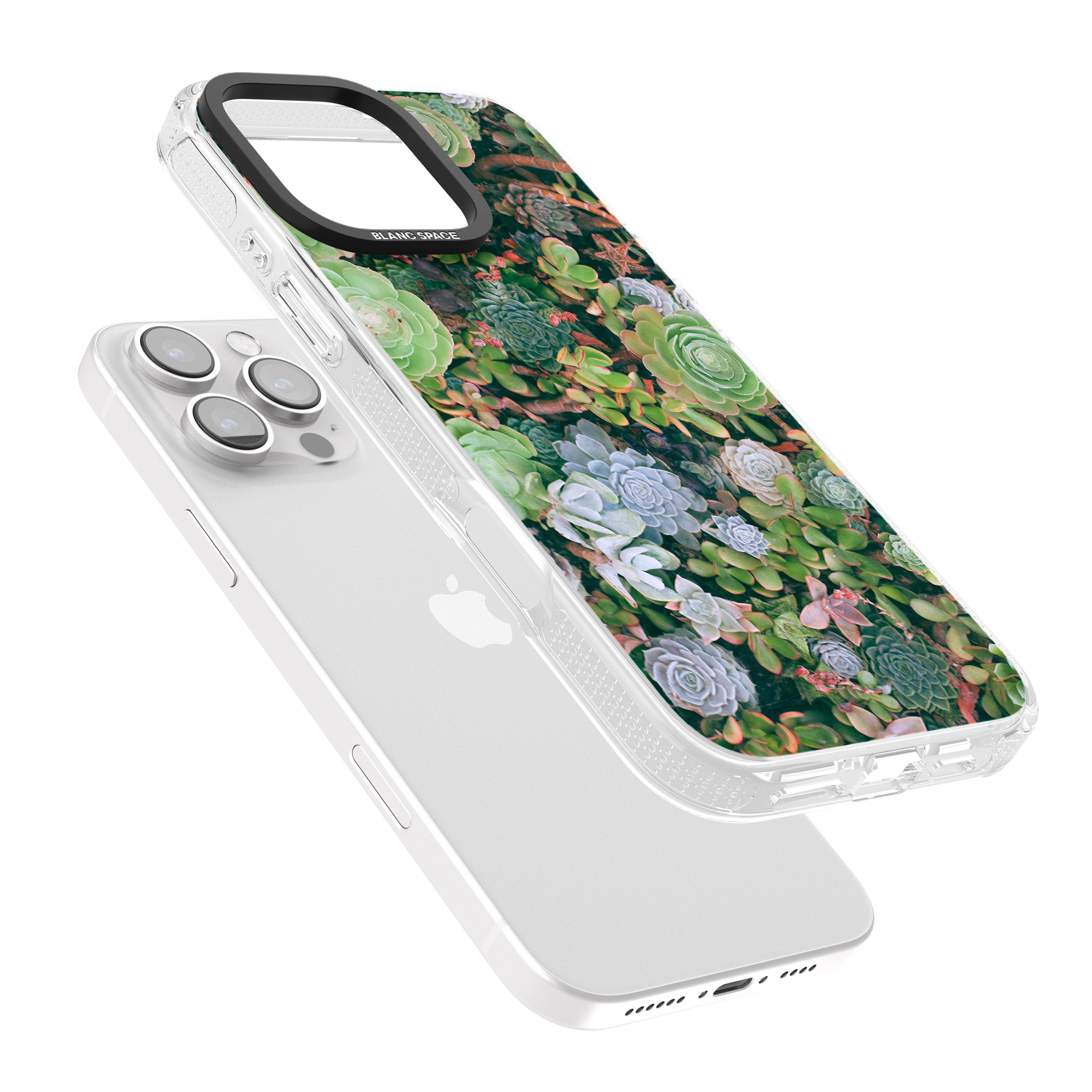Colourful Succulents Photograph iPhone 16 Pro Max / 16 Pro Clear Case Impact Air - Blanc Space