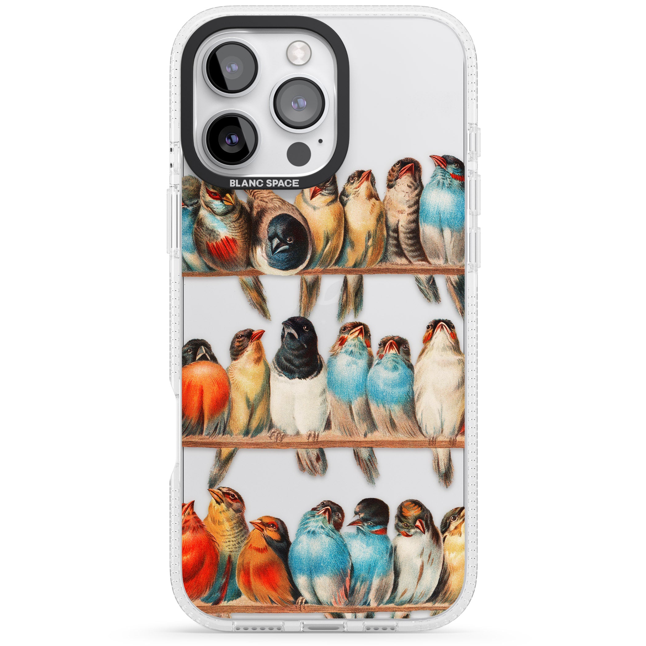 A Perch of Birds iPhone 16 Pro Max / 16 Pro Clear Case Impact Air - Blanc Space