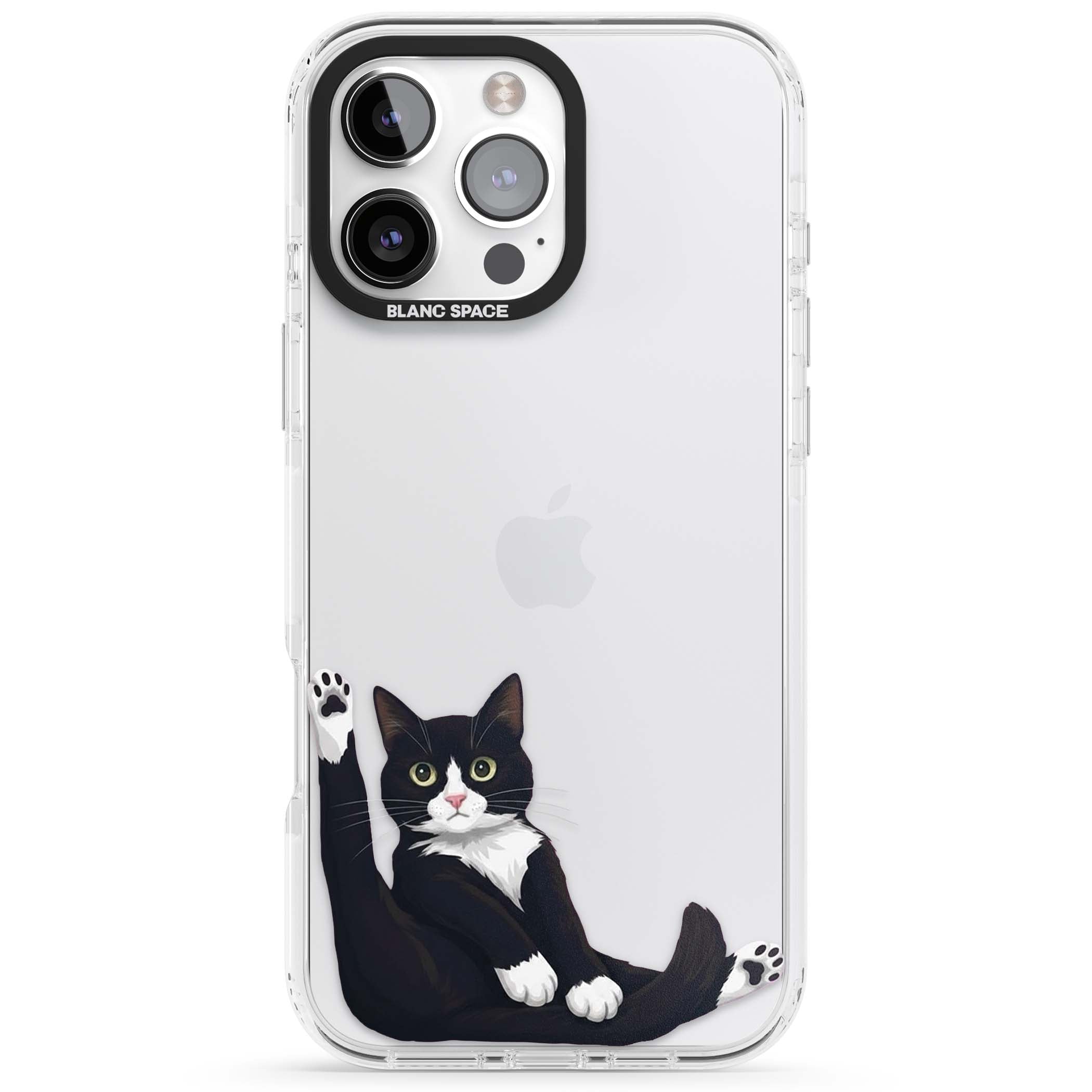 Mid-Groom Cat animals iPhone case | Clear Impact case for iPhone 16 Pro, iPhone 16 Pro Max