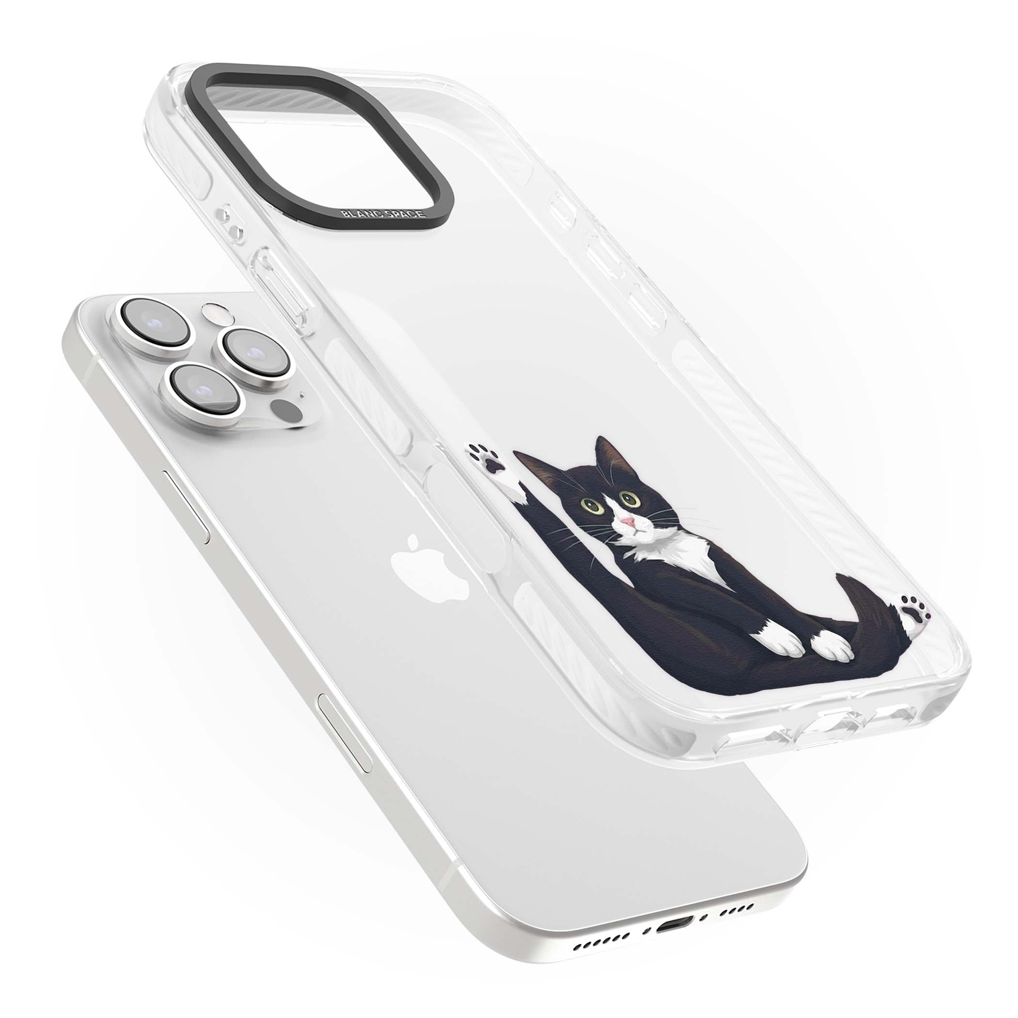 Mid-Groom Cat animals iPhone case | Clear Impact case for iPhone 16 Pro, iPhone 16 Pro Max