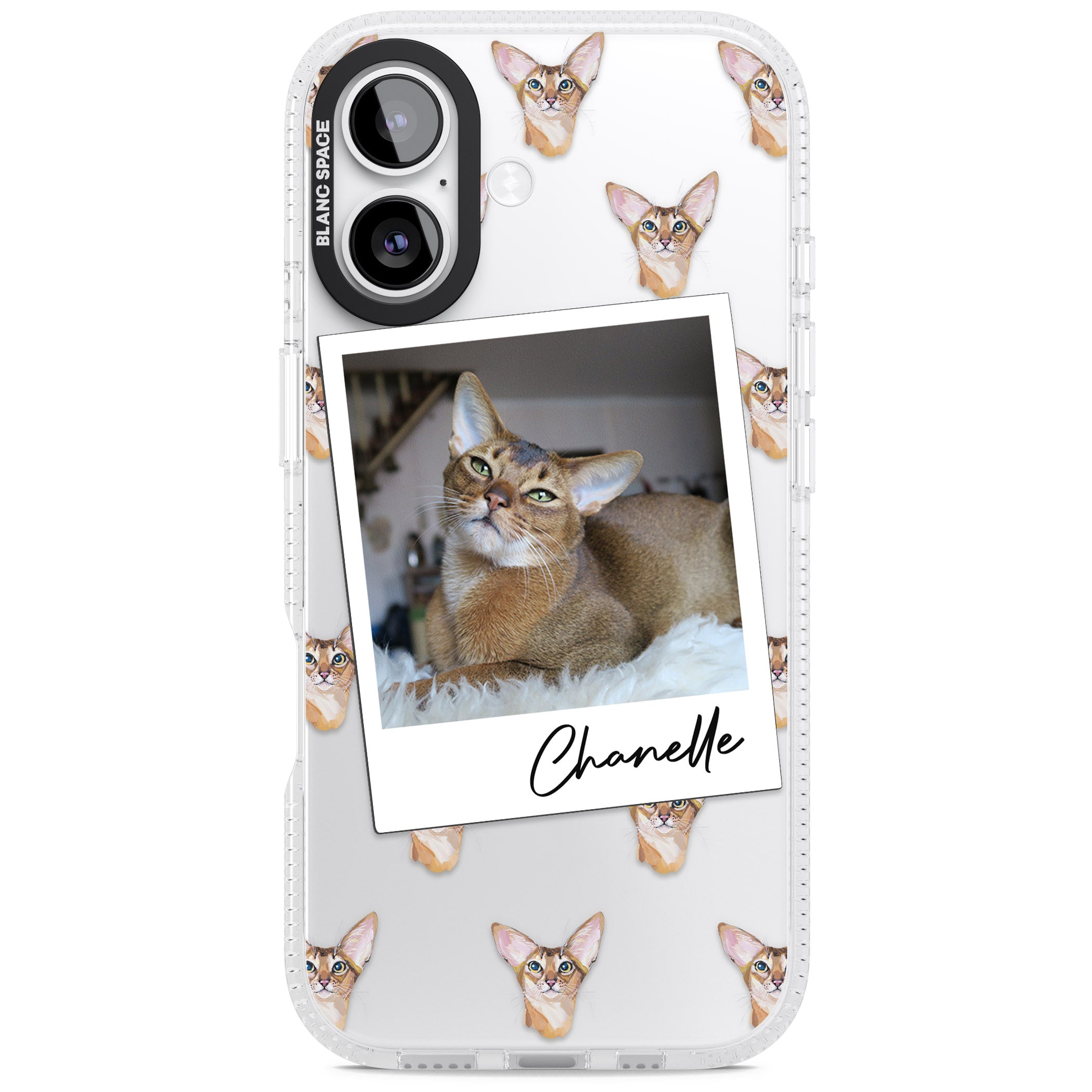 Personalised Abyssinian Cat Photo iPhone 17 Impact Air Clear Phone Case