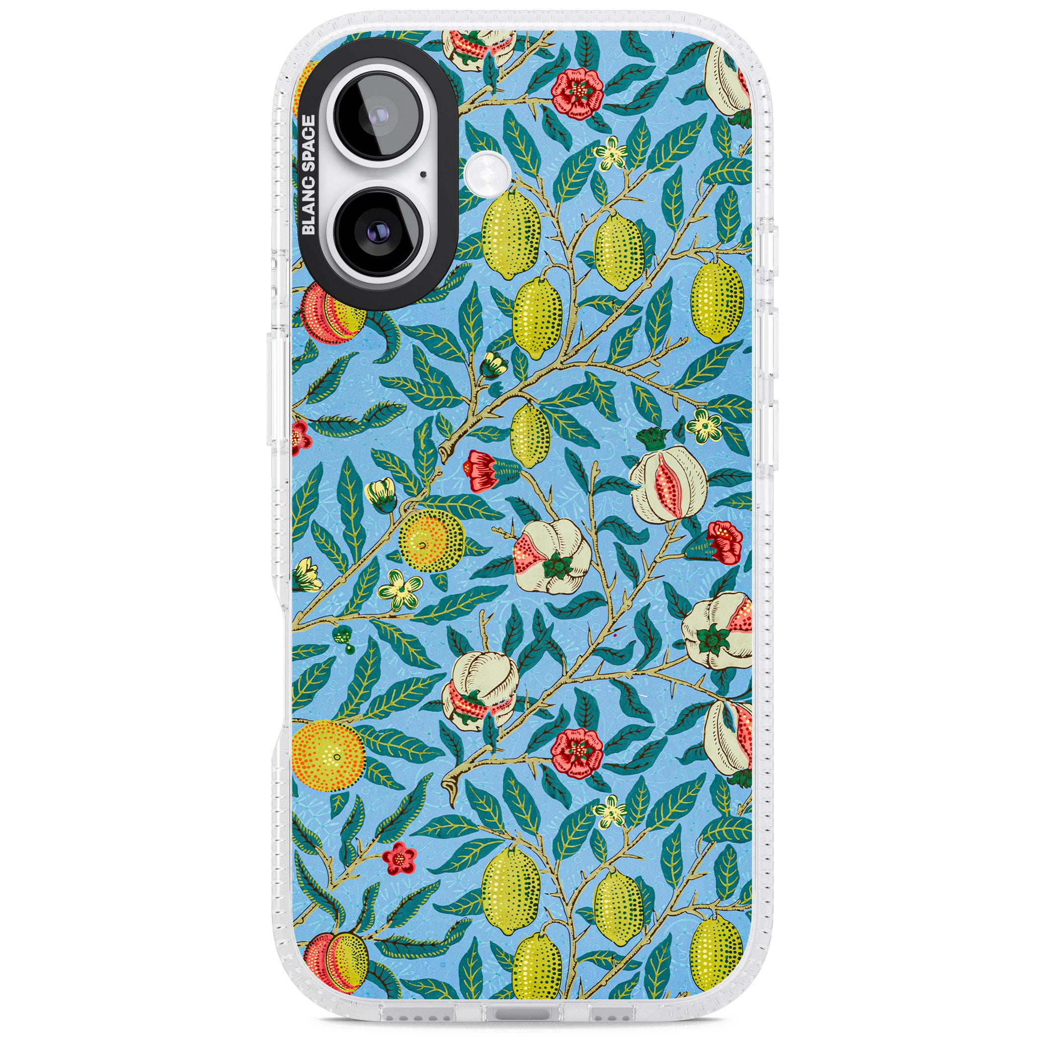 Vintage Fruits iPhone 17 Impact Air Clear Phone Case