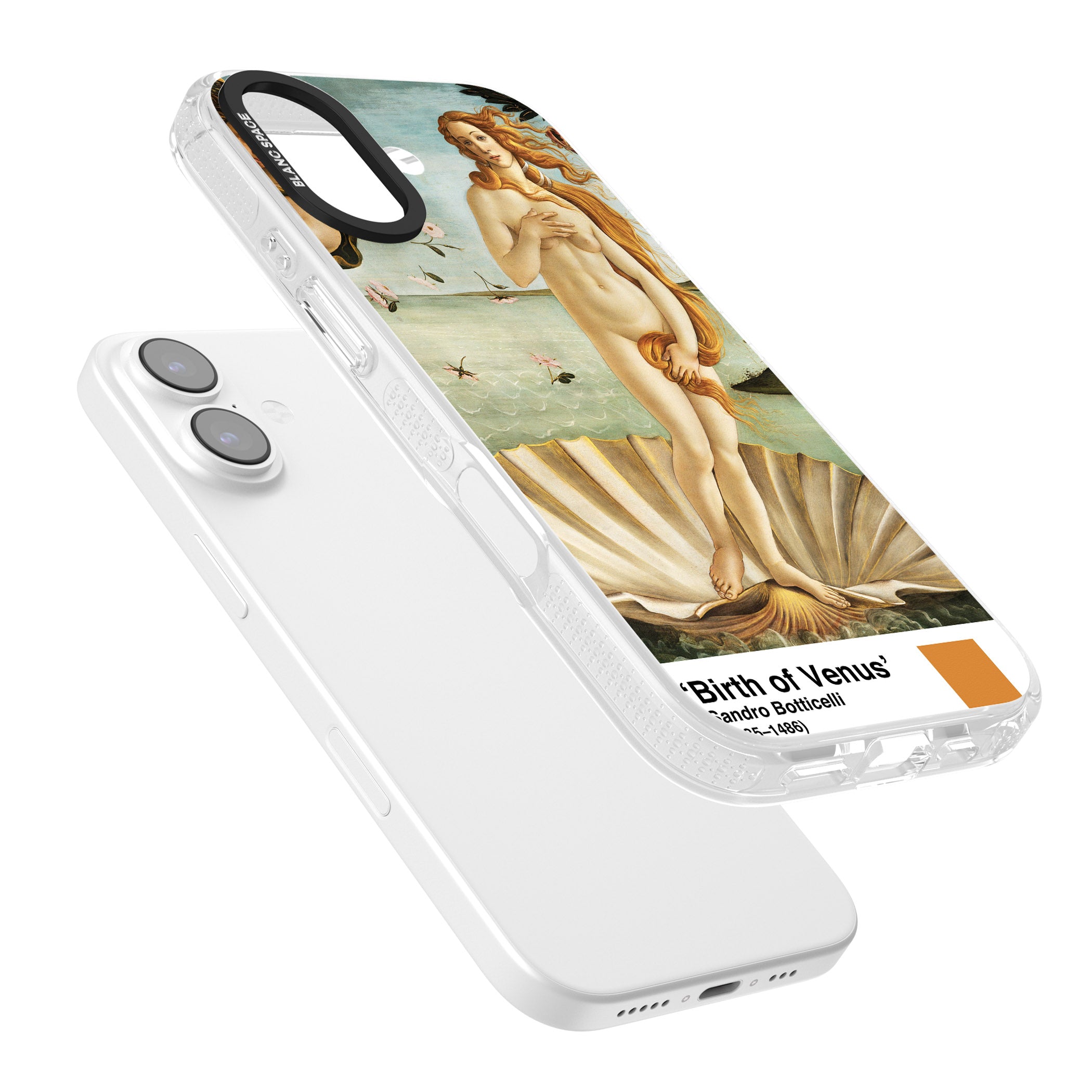 The Birth Of Venus iPhone 17 Impact Air Clear Phone Case Colours