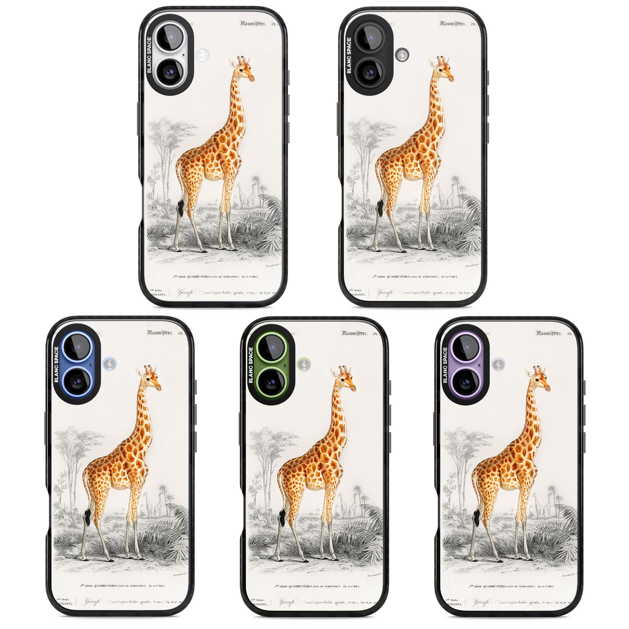 Vintage Giraffe Art iPhone 17 Impact Black Phone Case APT Impact Protection