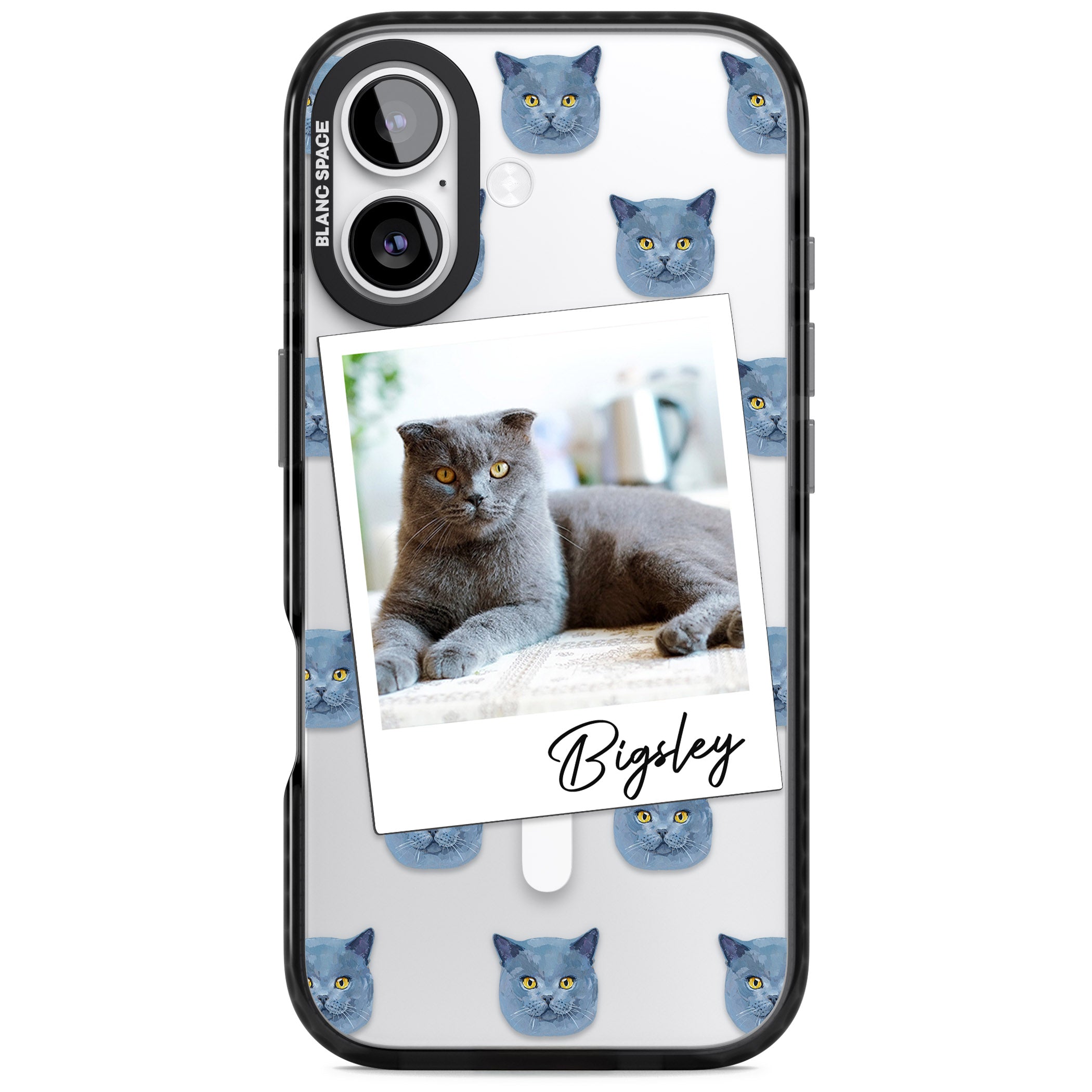 Personalised English Blue Cat Photo iPhone 17 Impact Pro Black Phone Case
