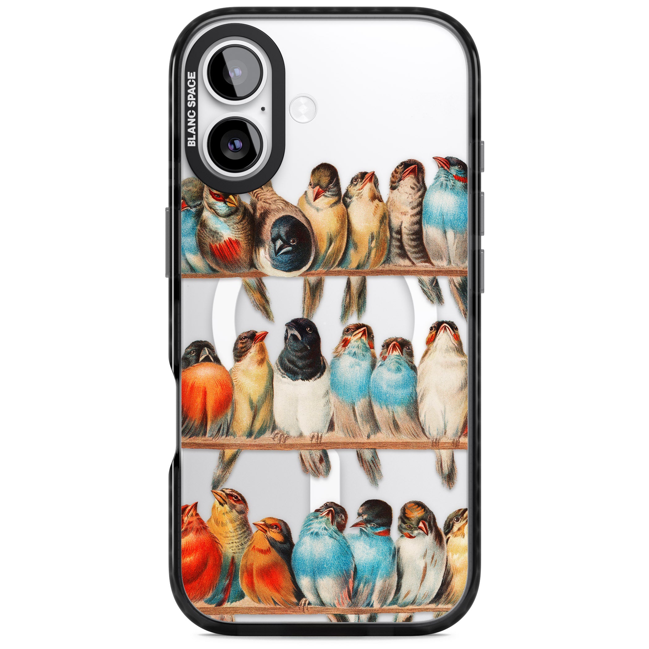 A Perch Of Birds iPhone 17 Impact Pro Black Phone Case