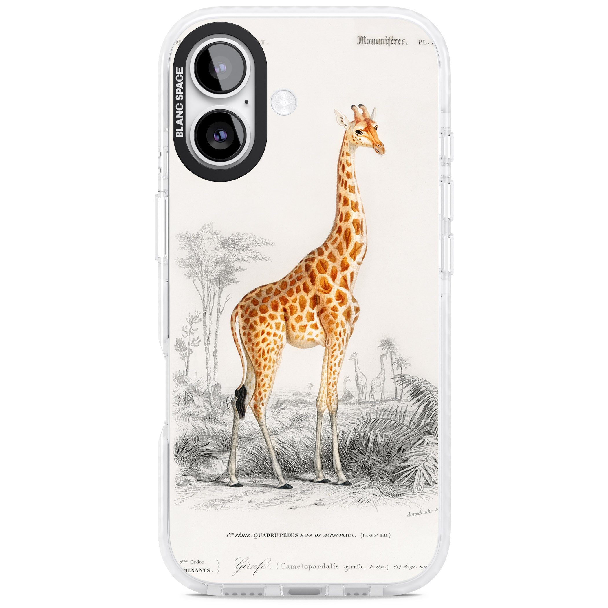 Vintage Giraffe Art iPhone 17 Impact Clear Phone Case