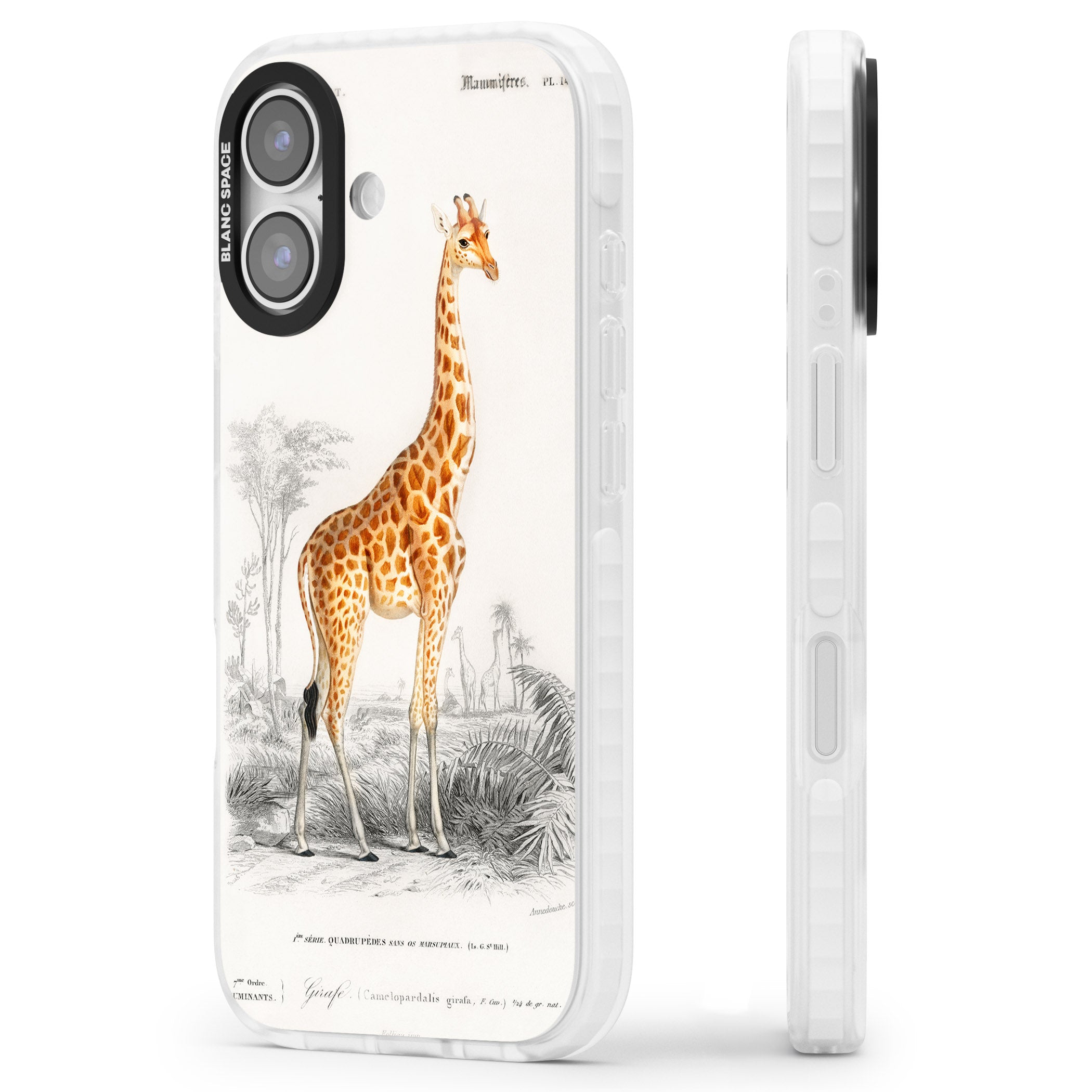 Vintage Giraffe Art iPhone 17 Impact Pro Clear Phone Case Side Profile