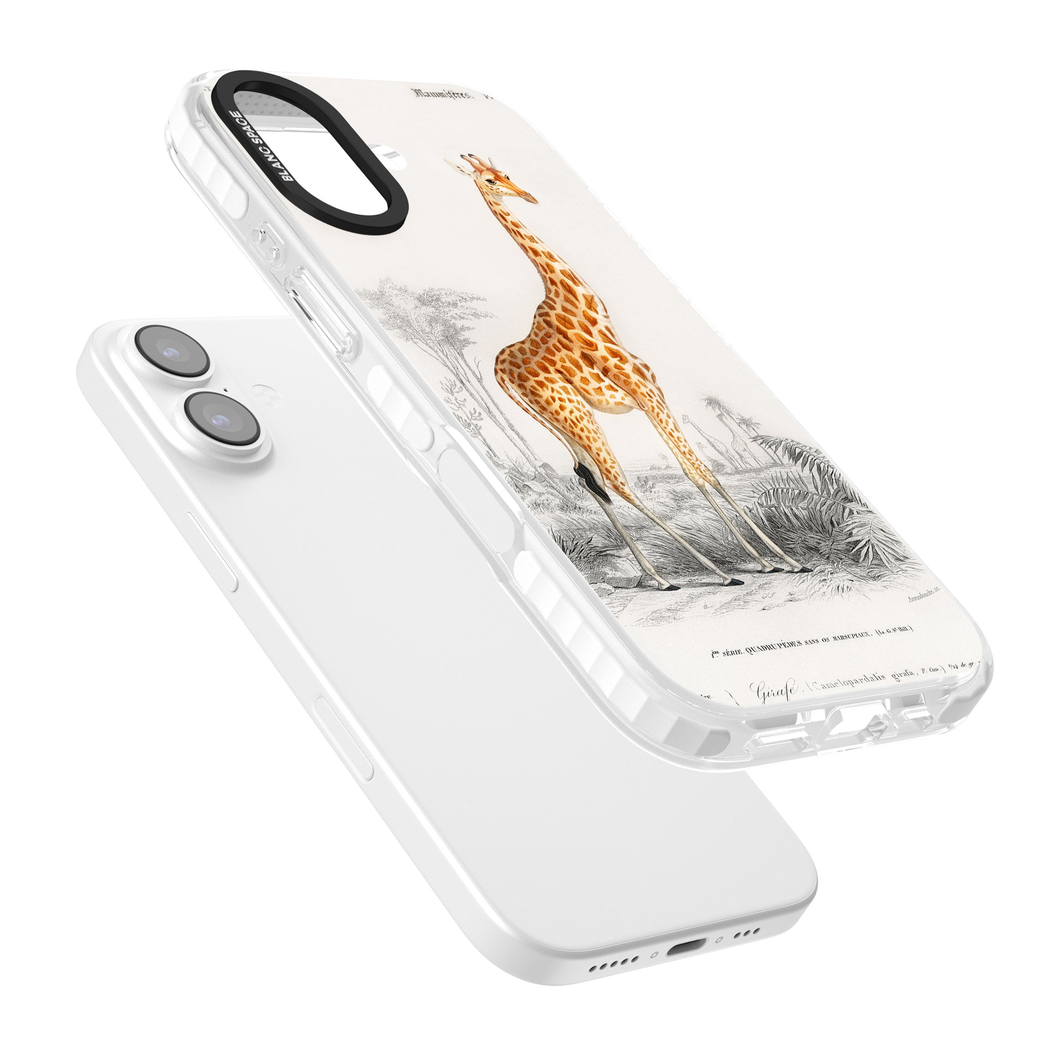 Vintage Giraffe Art iPhone 17 Impact Pro Clear Phone Case Colours