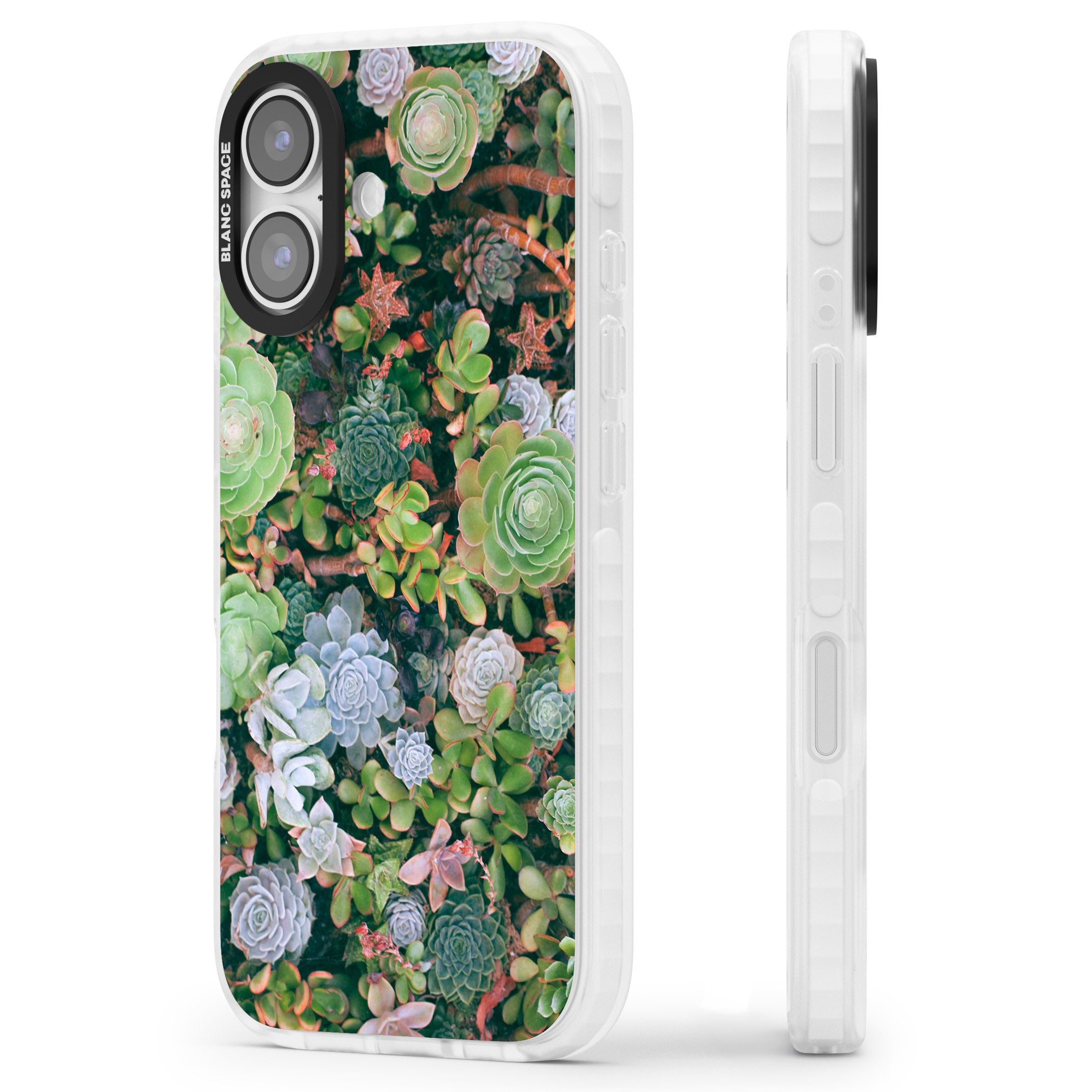 Succulent Garden iPhone 17 Impact Clear Phone Case Side Profile