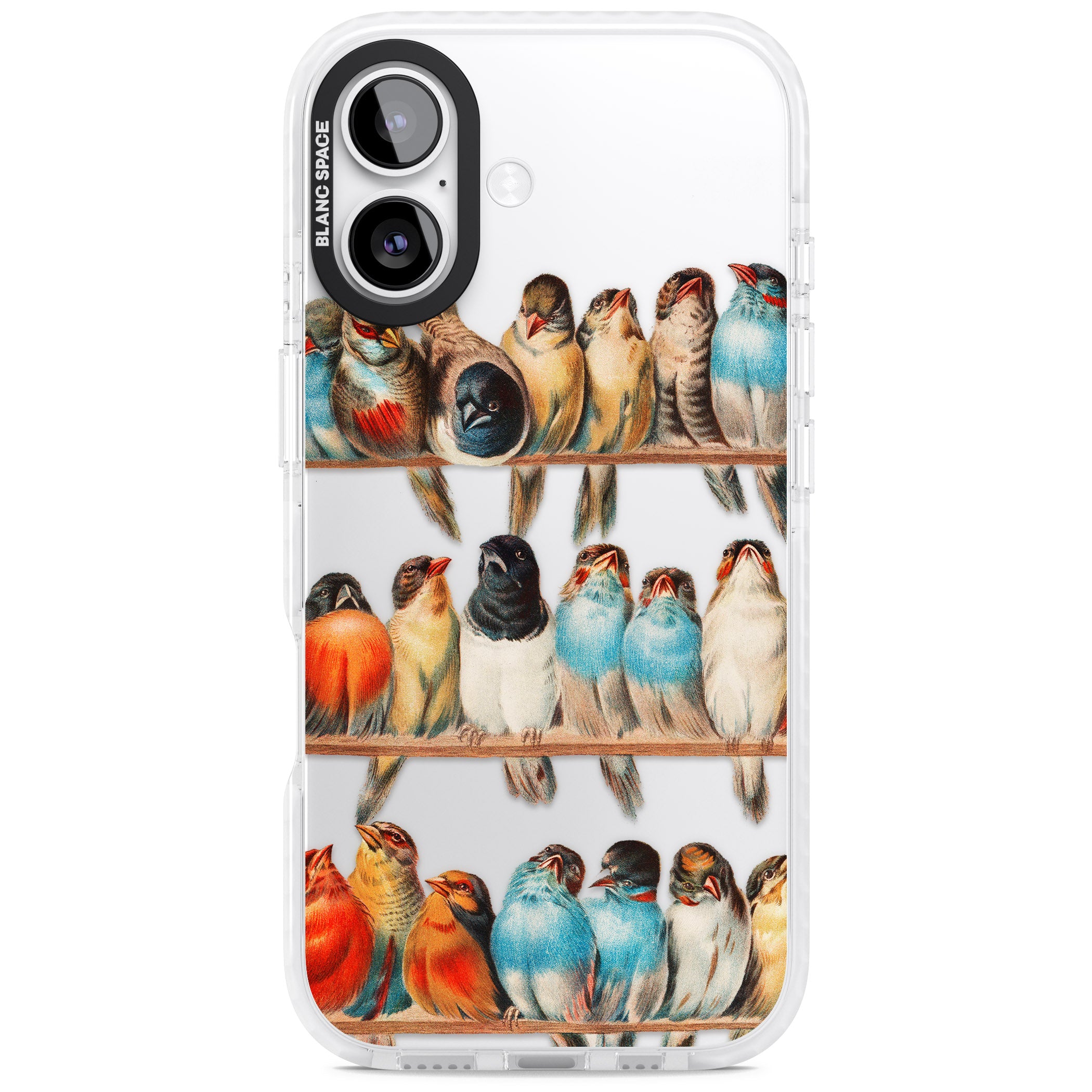 A Perch Of Birds iPhone 17 Impact Clear Phone Case