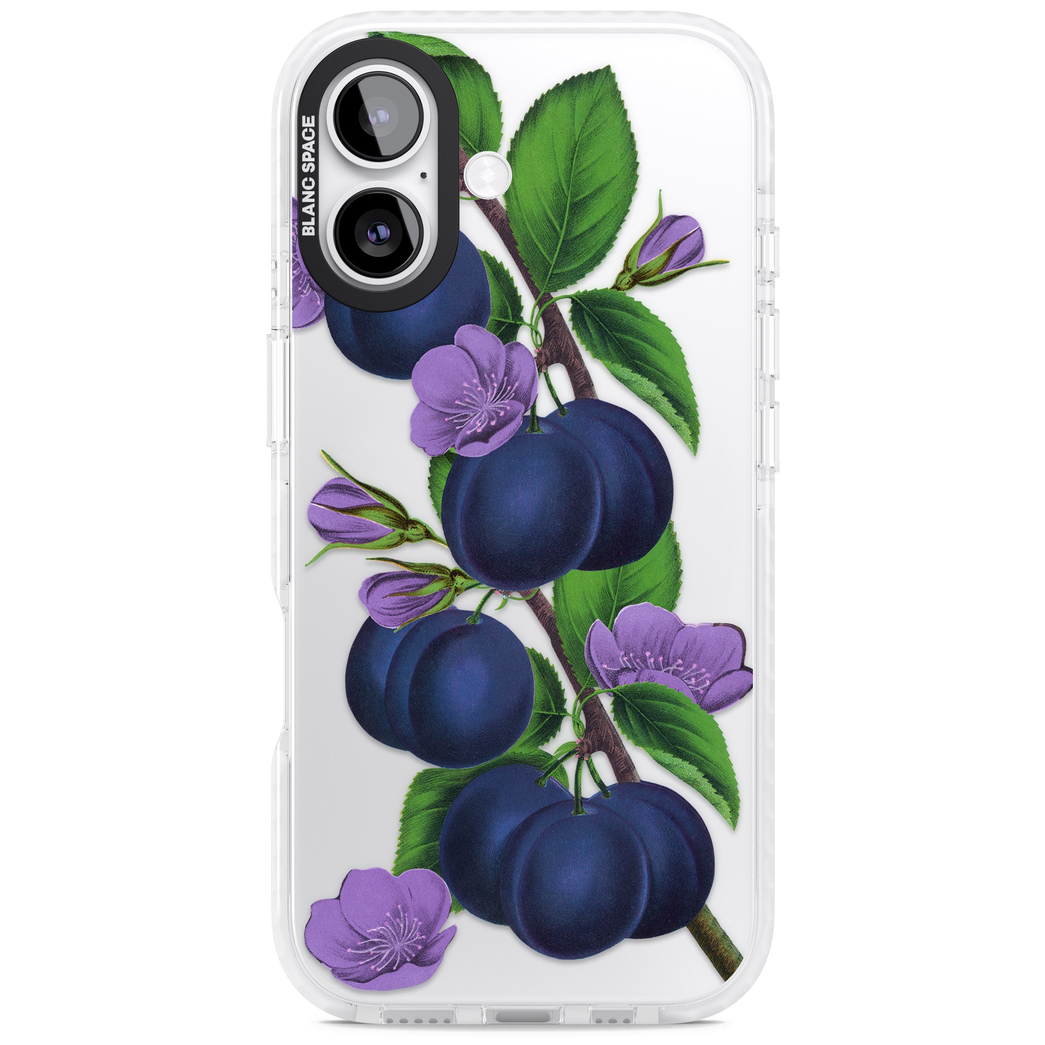 Vintage Painted Plums iPhone 17 Impact Clear Phone Case
