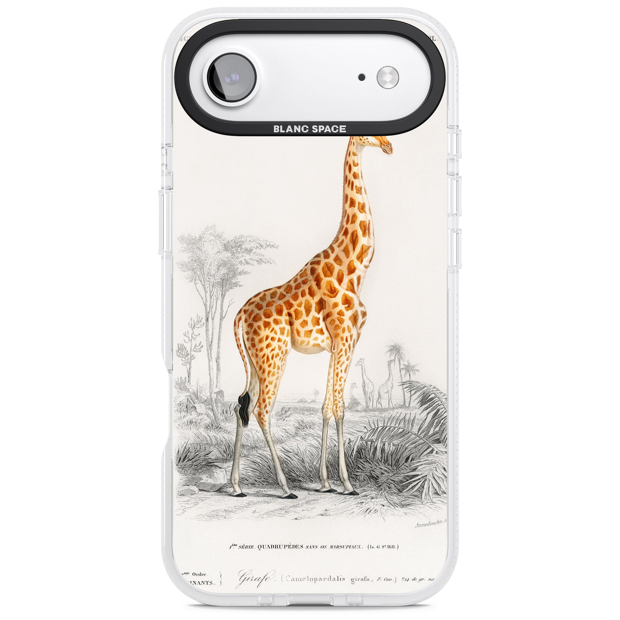 Vintage Giraffe Art iPhone 17 Air Impact Air Clear Phone Case