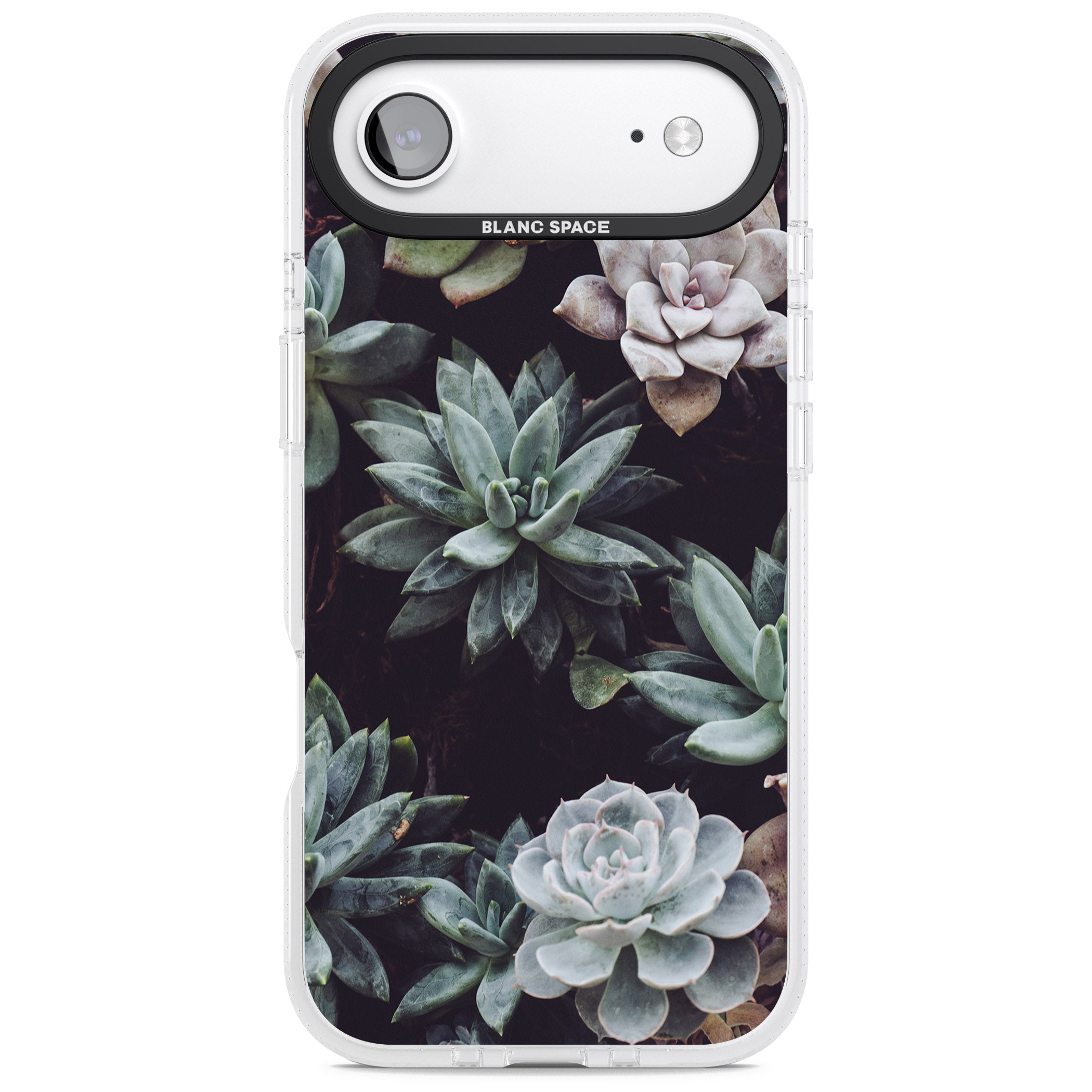 Succulent Bloom Mixed iPhone 17 Air Impact Air Clear Phone Case