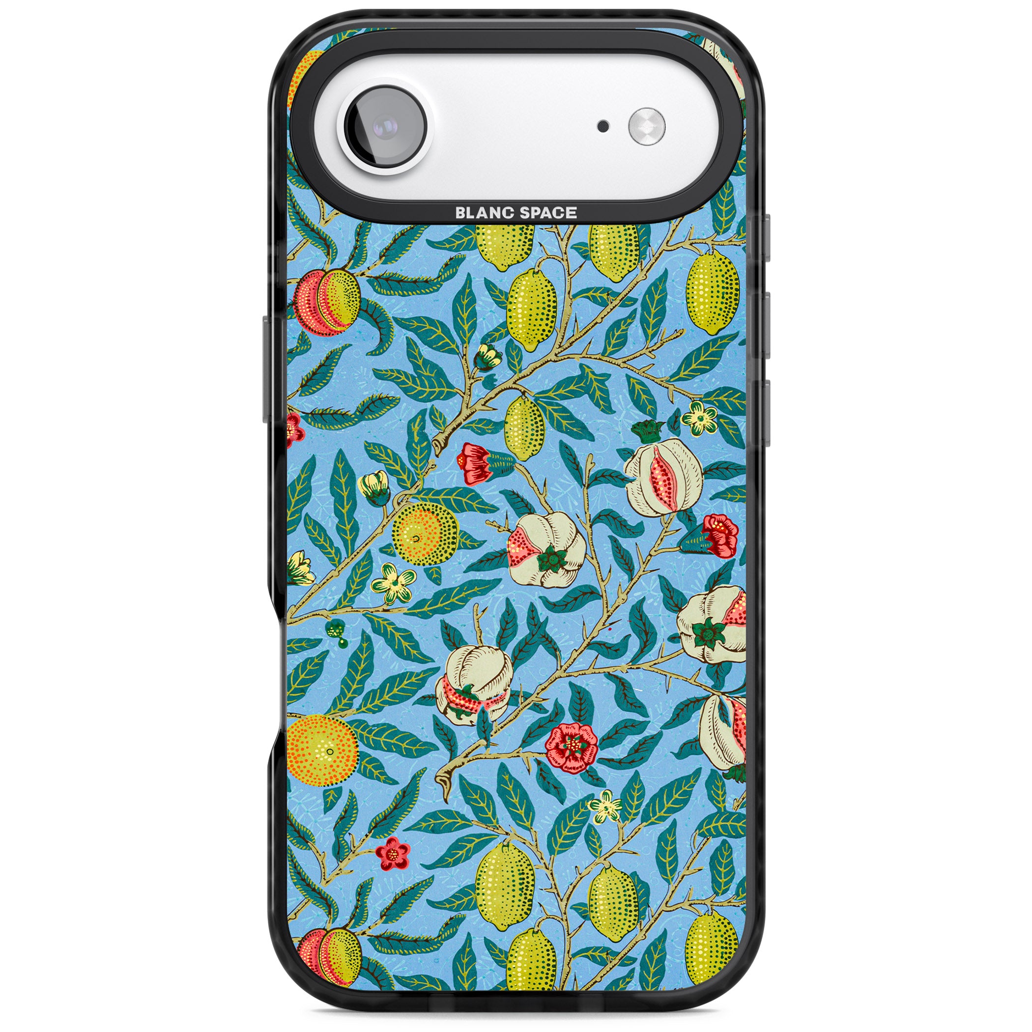 Vintage Fruits iPhone 17 Air Impact Black Phone Case