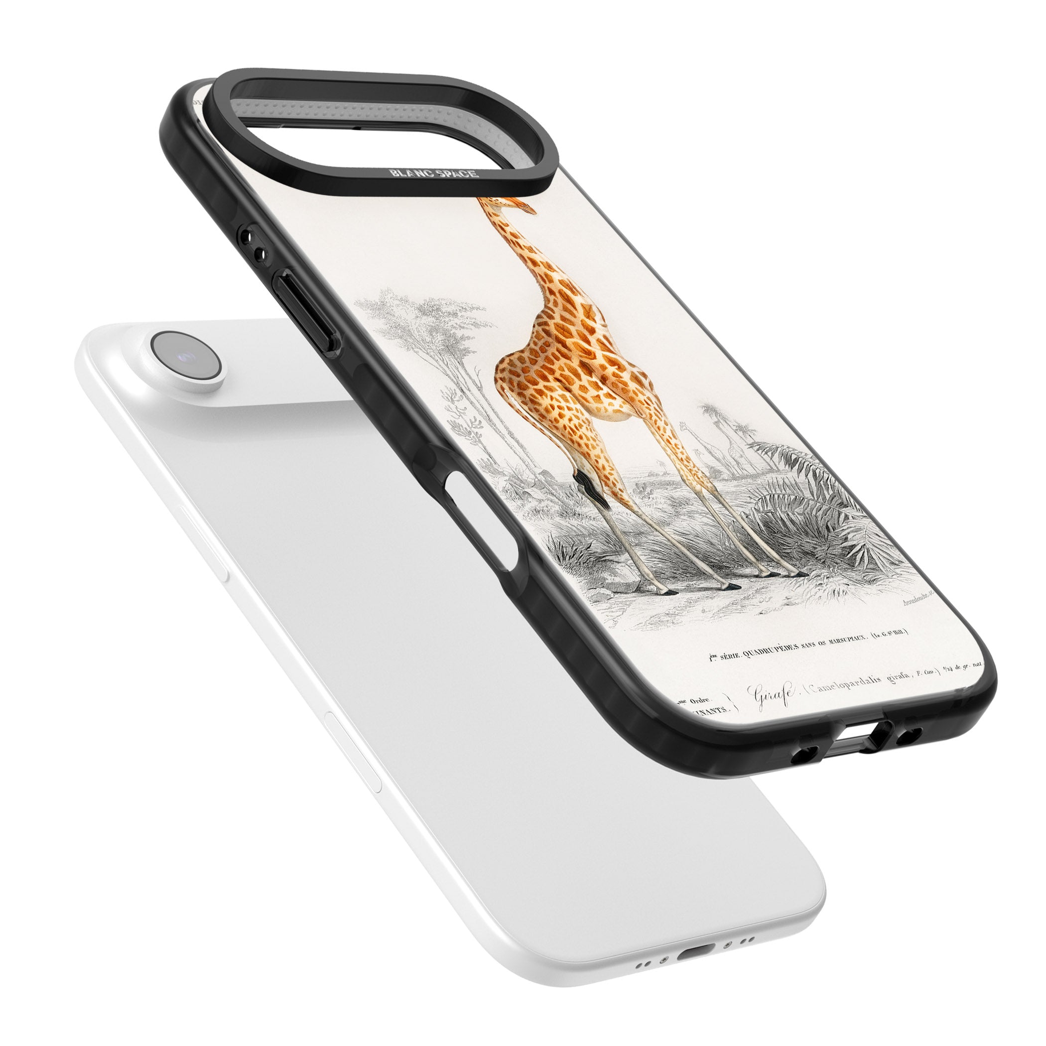 Vintage Giraffe Art iPhone 17 Air Impact Pro Black Phone Case Colours