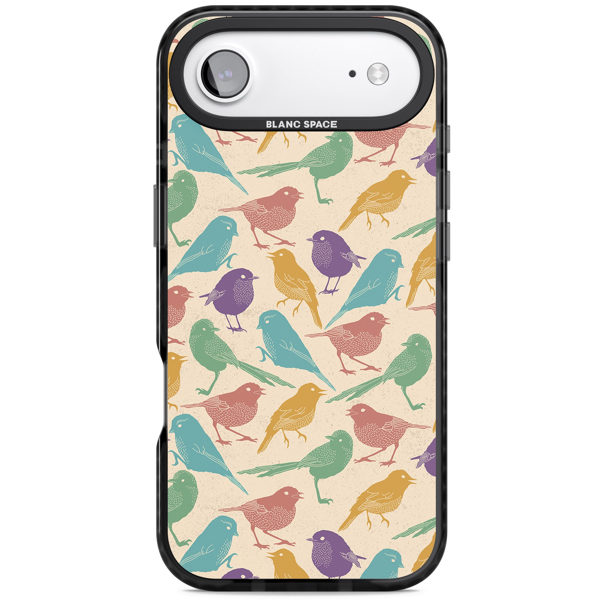 Colorful Feathered Friends iPhone 17 Air Impact Pro Black Phone Case