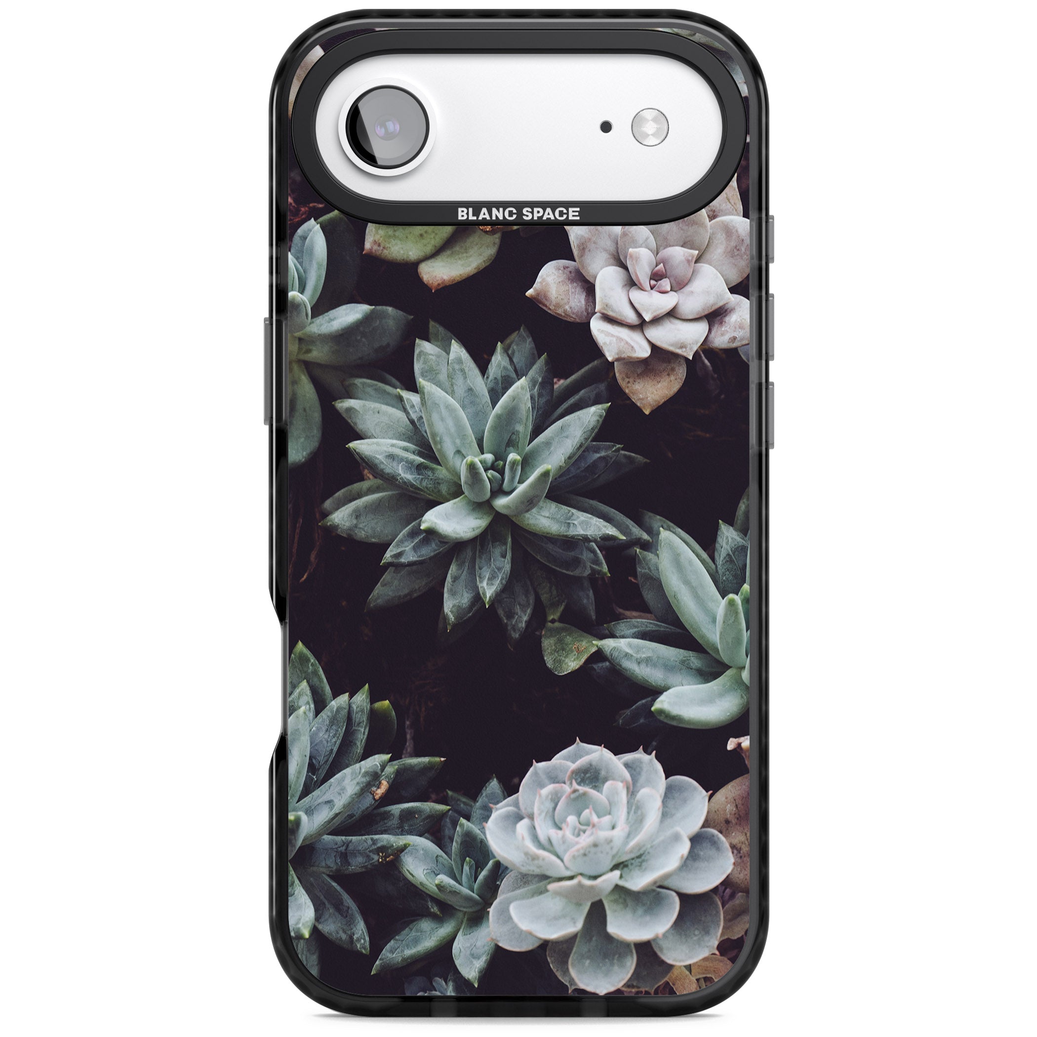 Succulent Bloom Mixed iPhone 17 Air Impact Black Phone Case