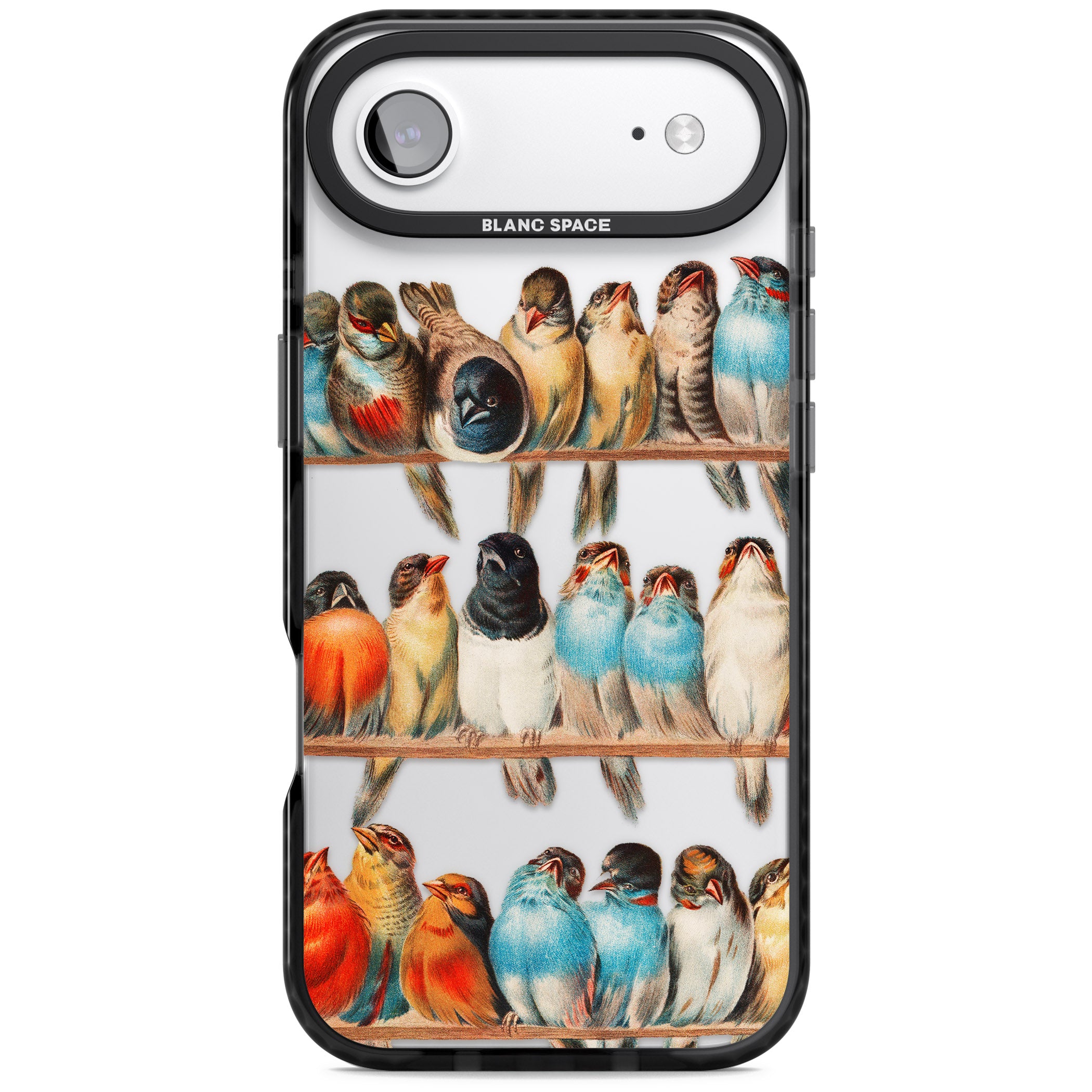 A Perch Of Birds iPhone 17 Air Impact Black Phone Case