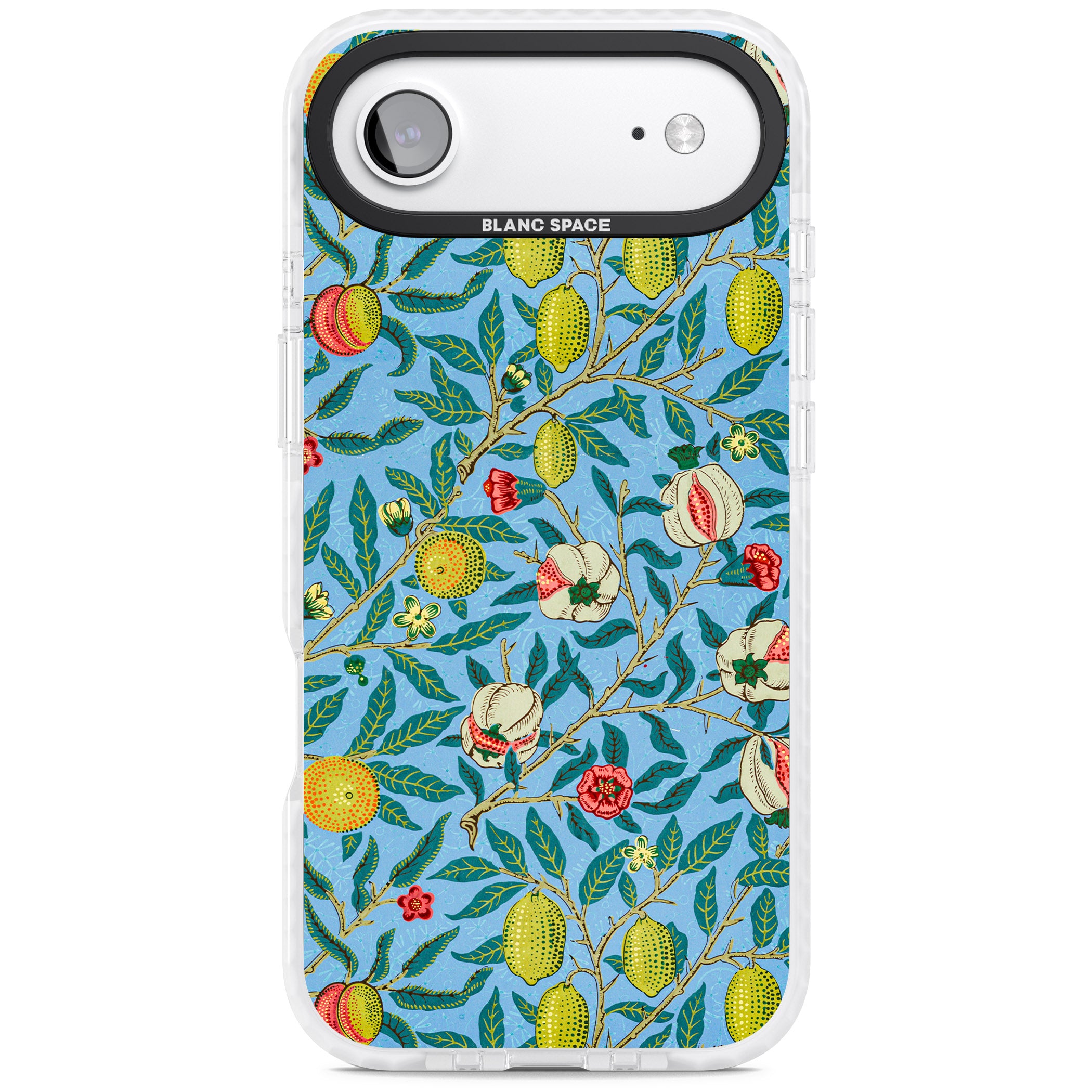 Vintage Fruits iPhone 17 Air Impact Pro Clear Phone Case