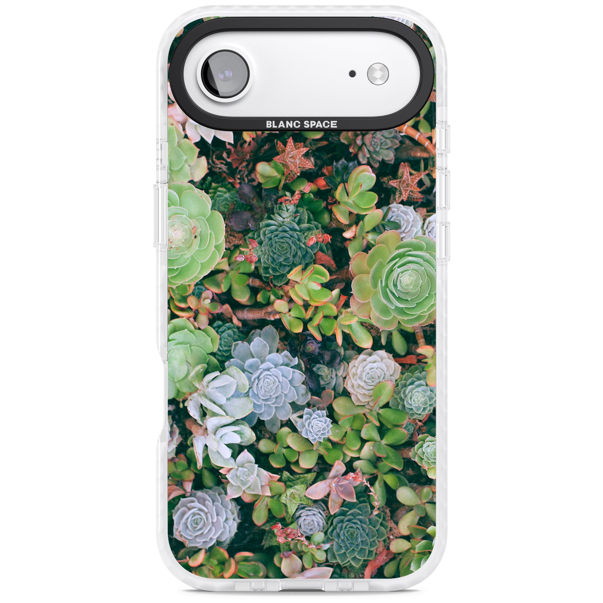 Succulent Garden iPhone 17 Air Impact Pro Clear Phone Case